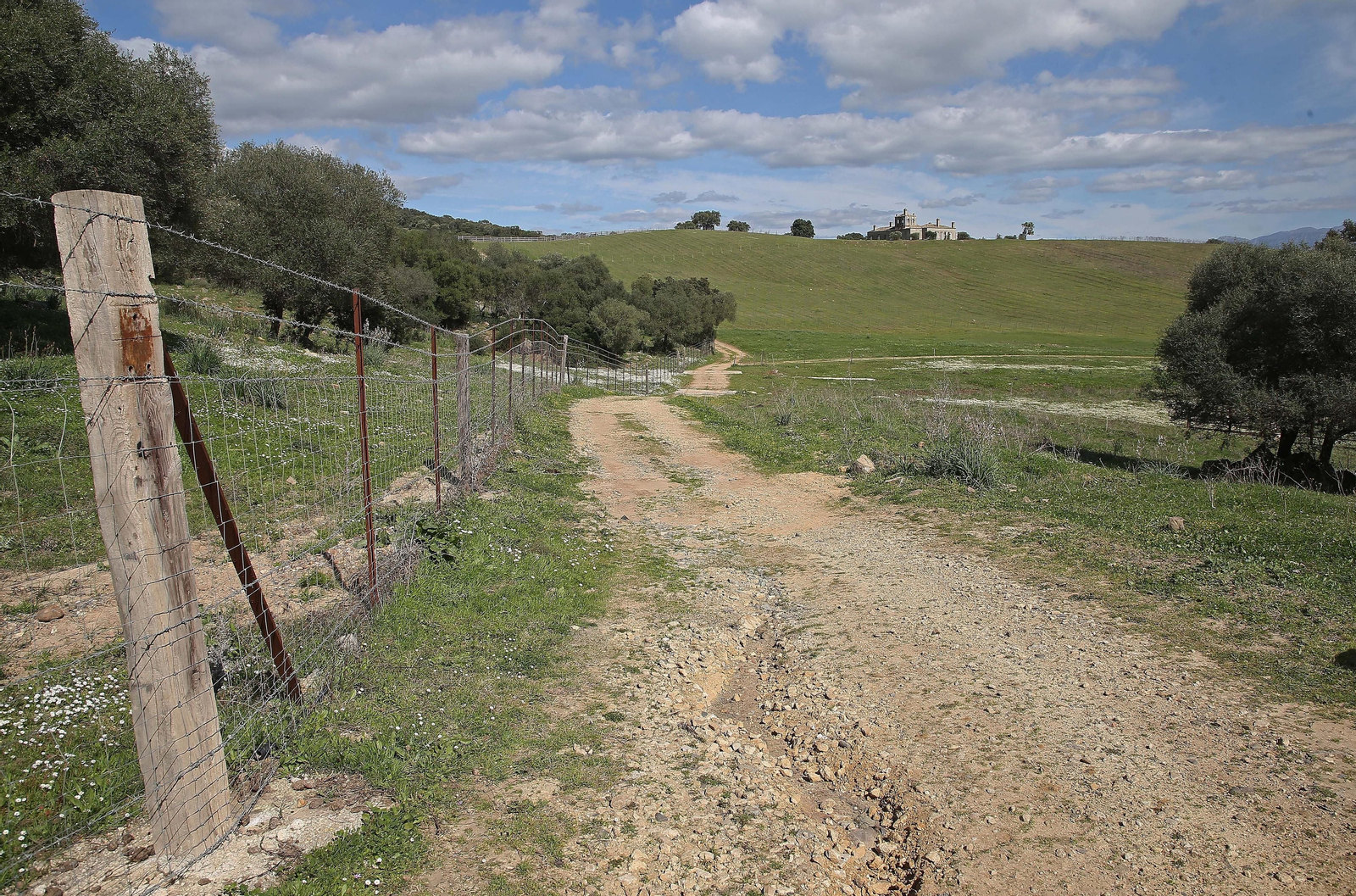 Fotos del lugar donde se produce Ribera de Hozgarganta, el primer vino del Campo de Gibraltar
