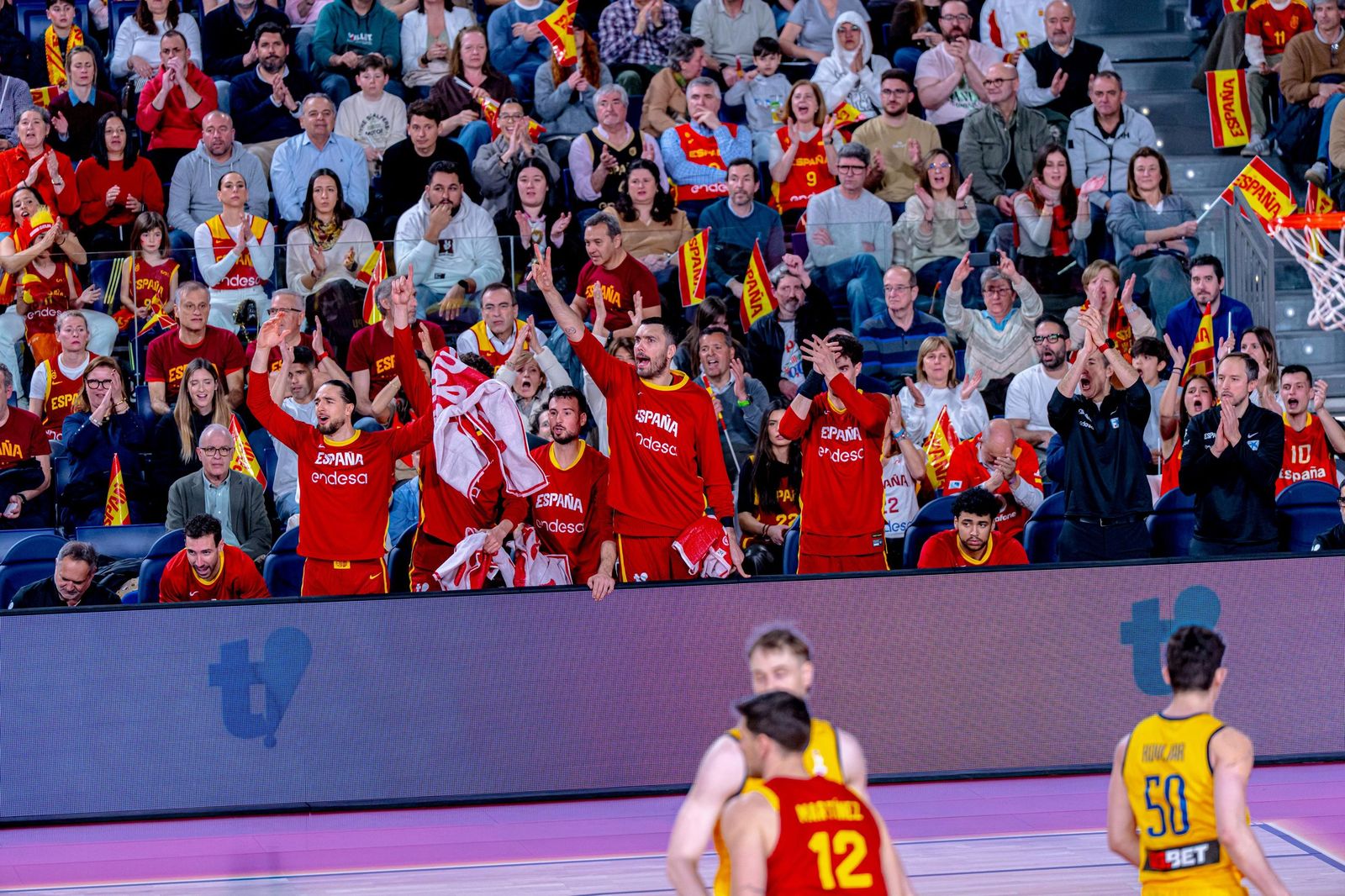Las mejores fotos del España-Ucrania de baloncesto