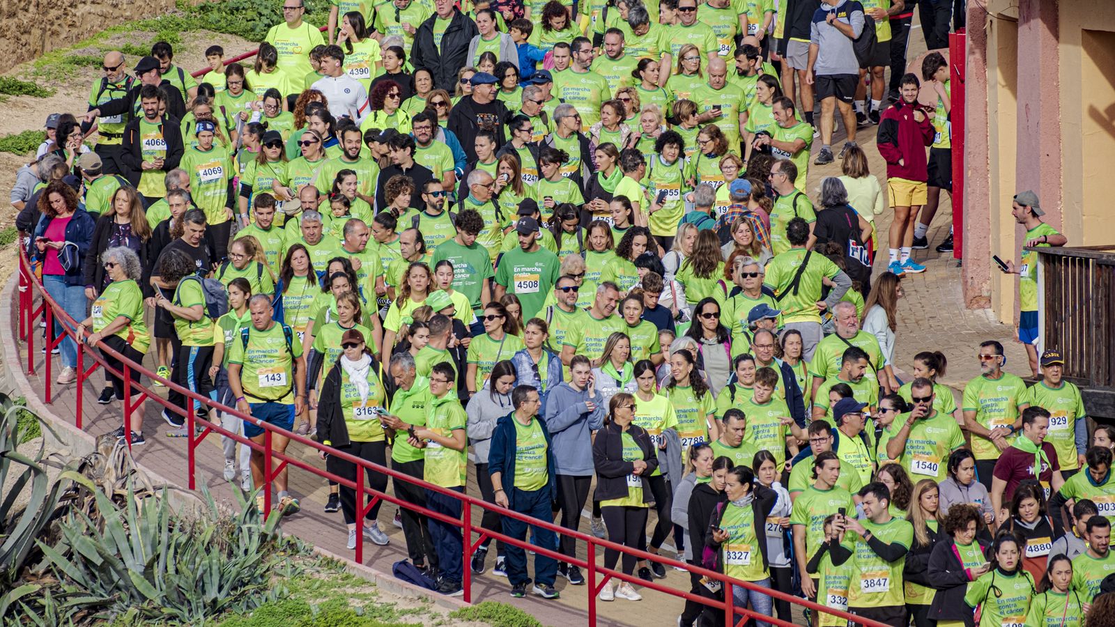 Búscate entre las fotos de la X carrera Cádiz en marcha contra el cáncer