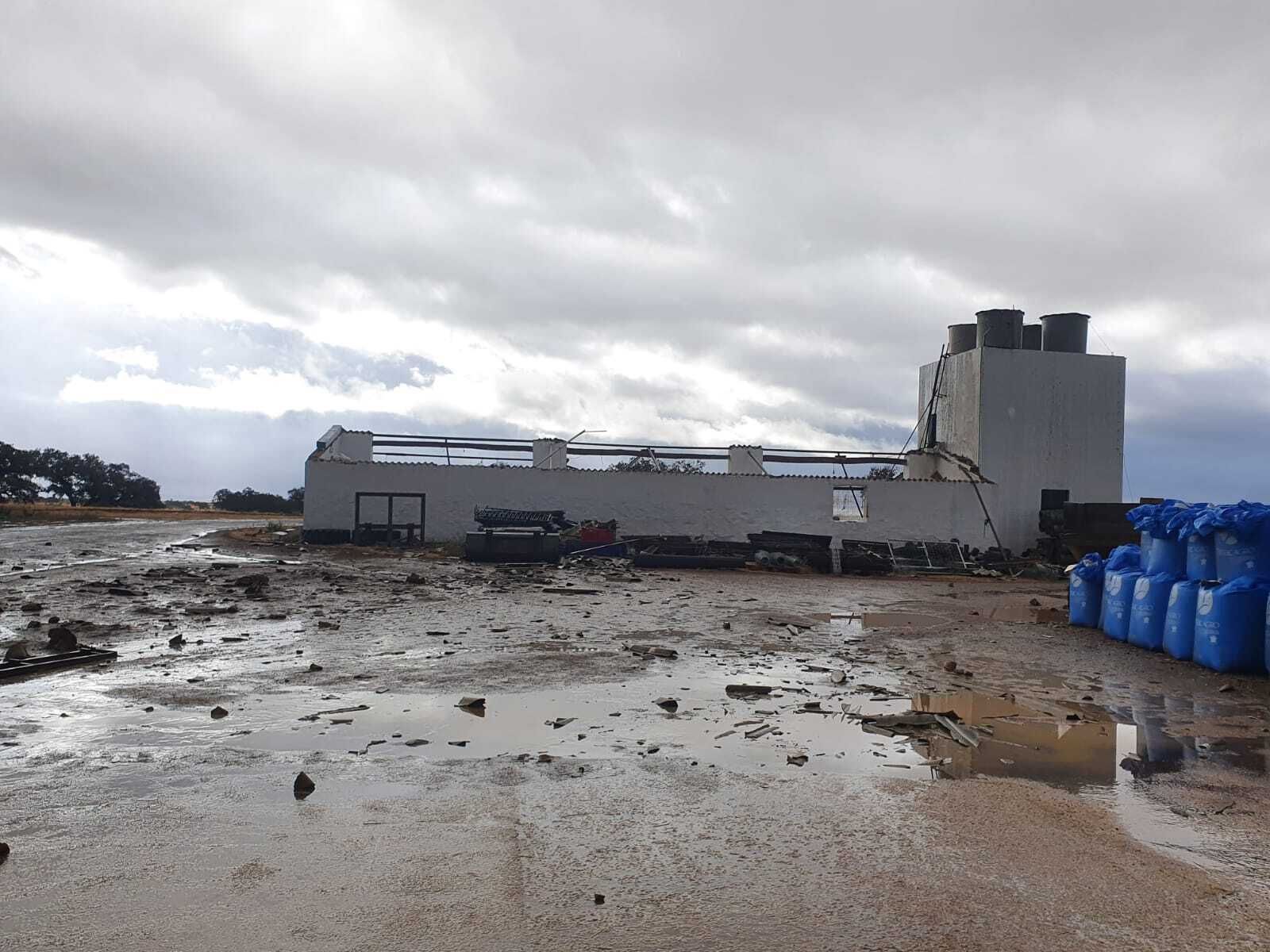 Imágenes de los destrozos provocados por un tornado en Villanueva de los Castillejos