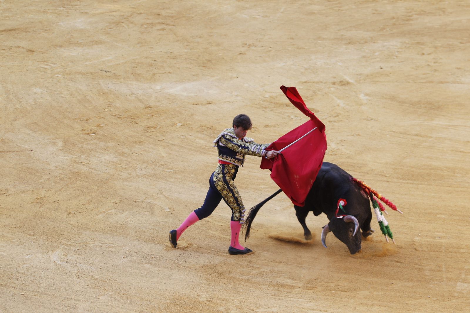 Fotogalería novillada Escuela Taurina de Almería. Feria de Almería 2019