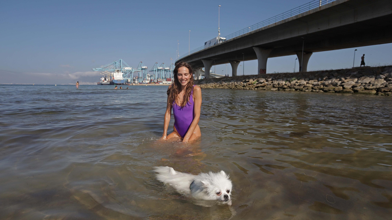 Fotos de la  la nueva zona de merendero y la playa canina en La Concha