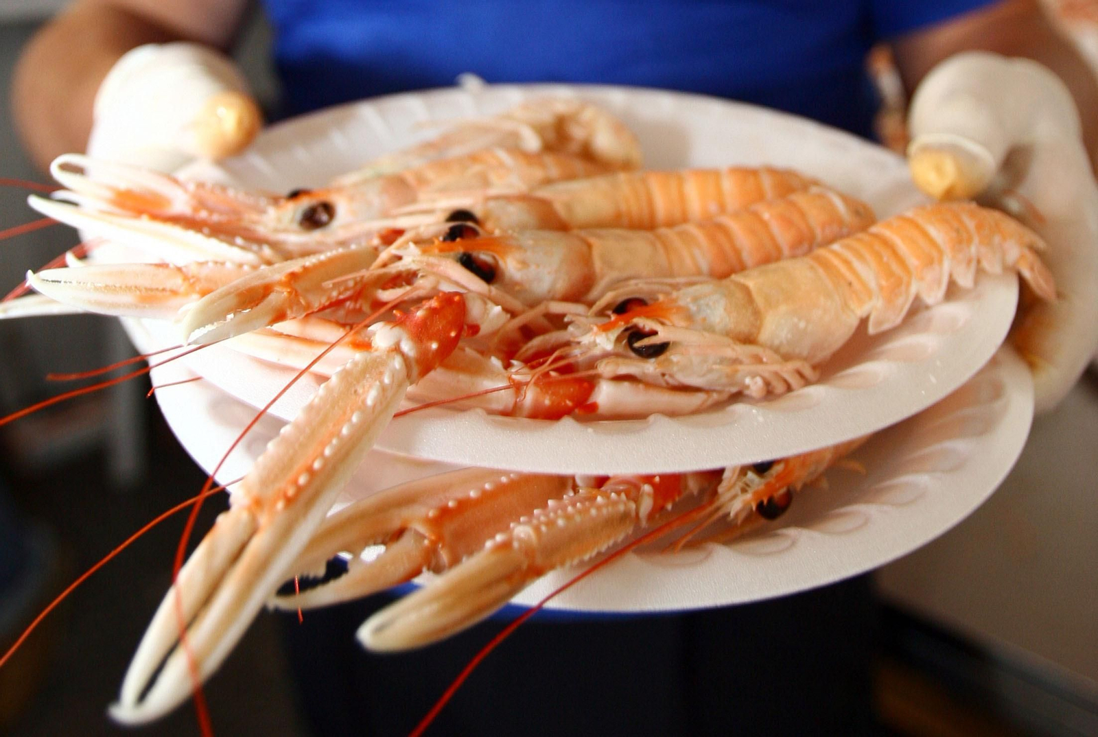 Feria de la Gamba de Punta Umbría, en una imagen de archivo.