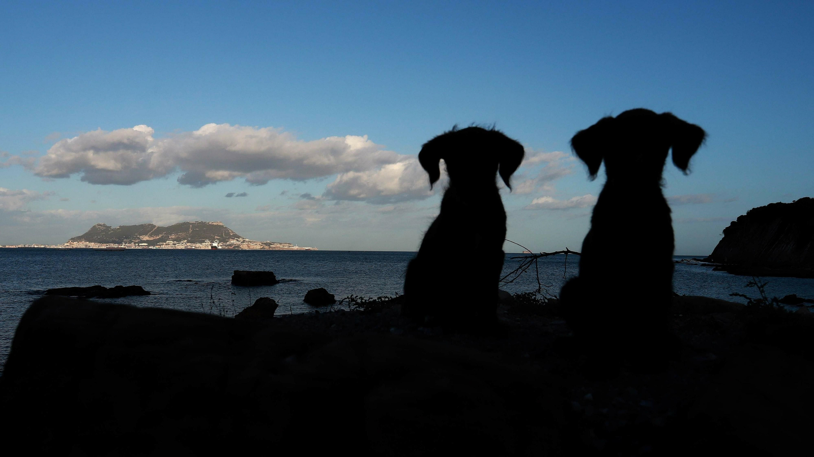 Las mejores fotos de La Ballenera en Algeciras