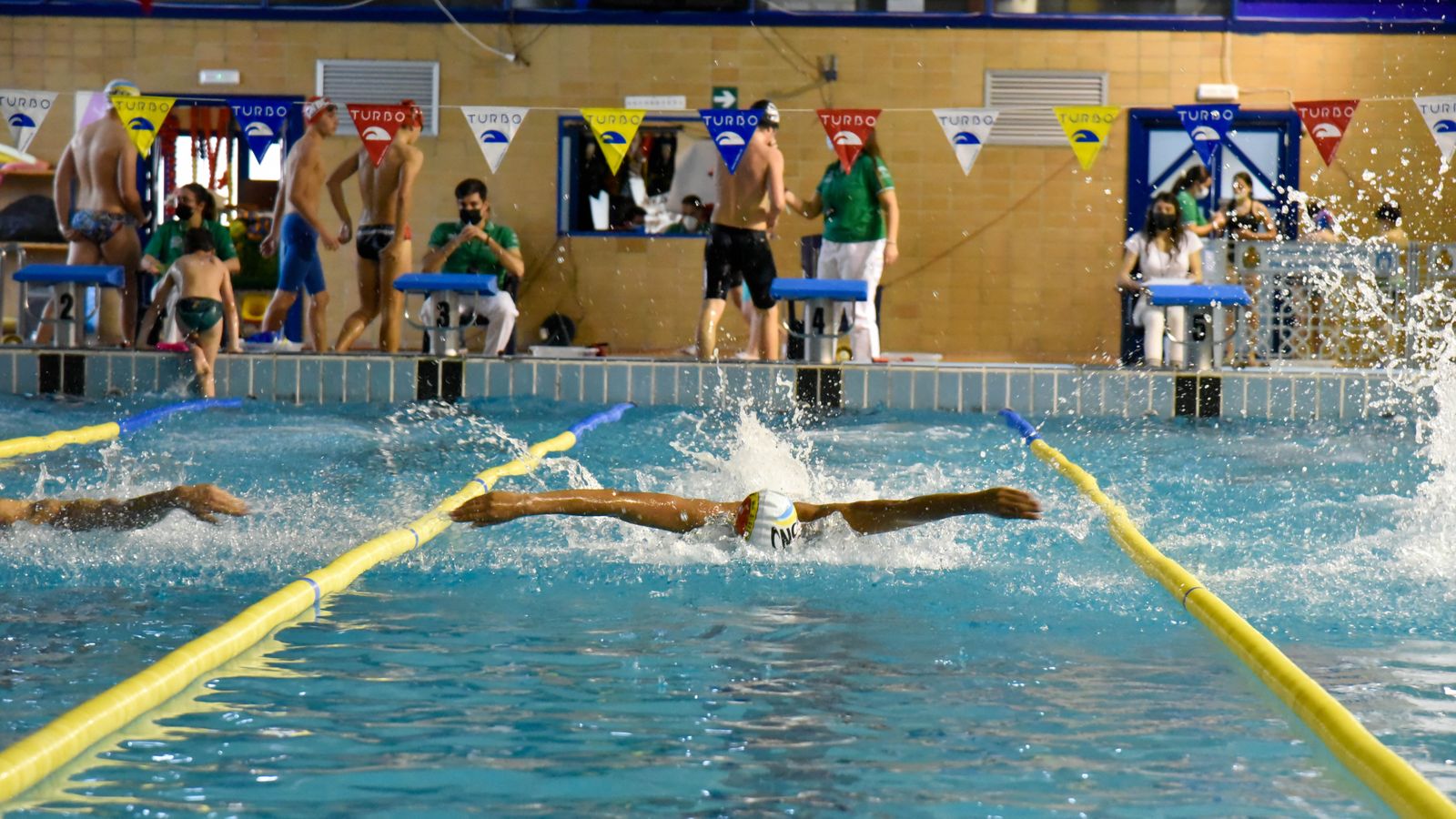 Las fotos del XVII trofeo de natación Día de Andalucía