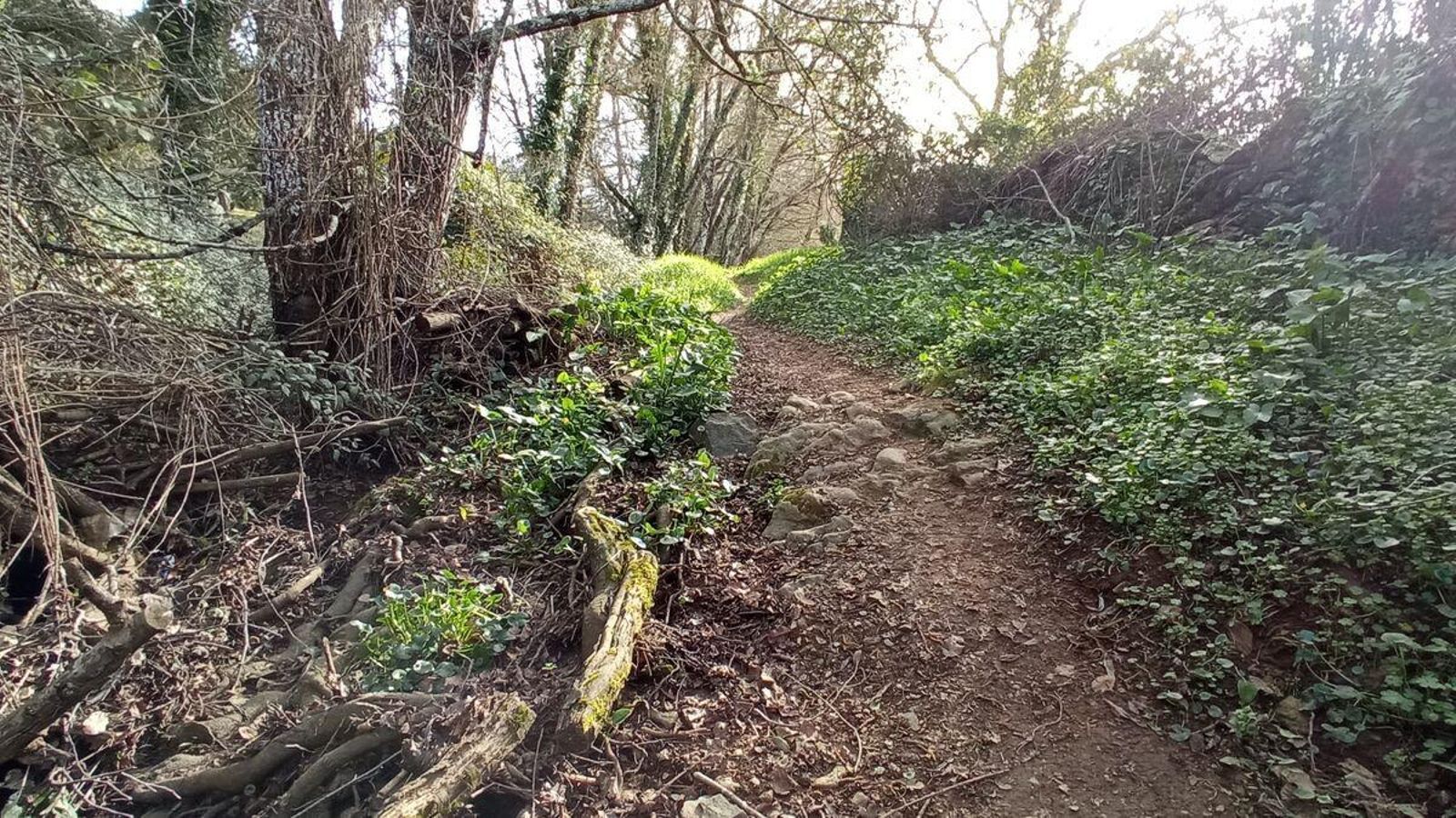 Uno de los momentos finales de la ruta