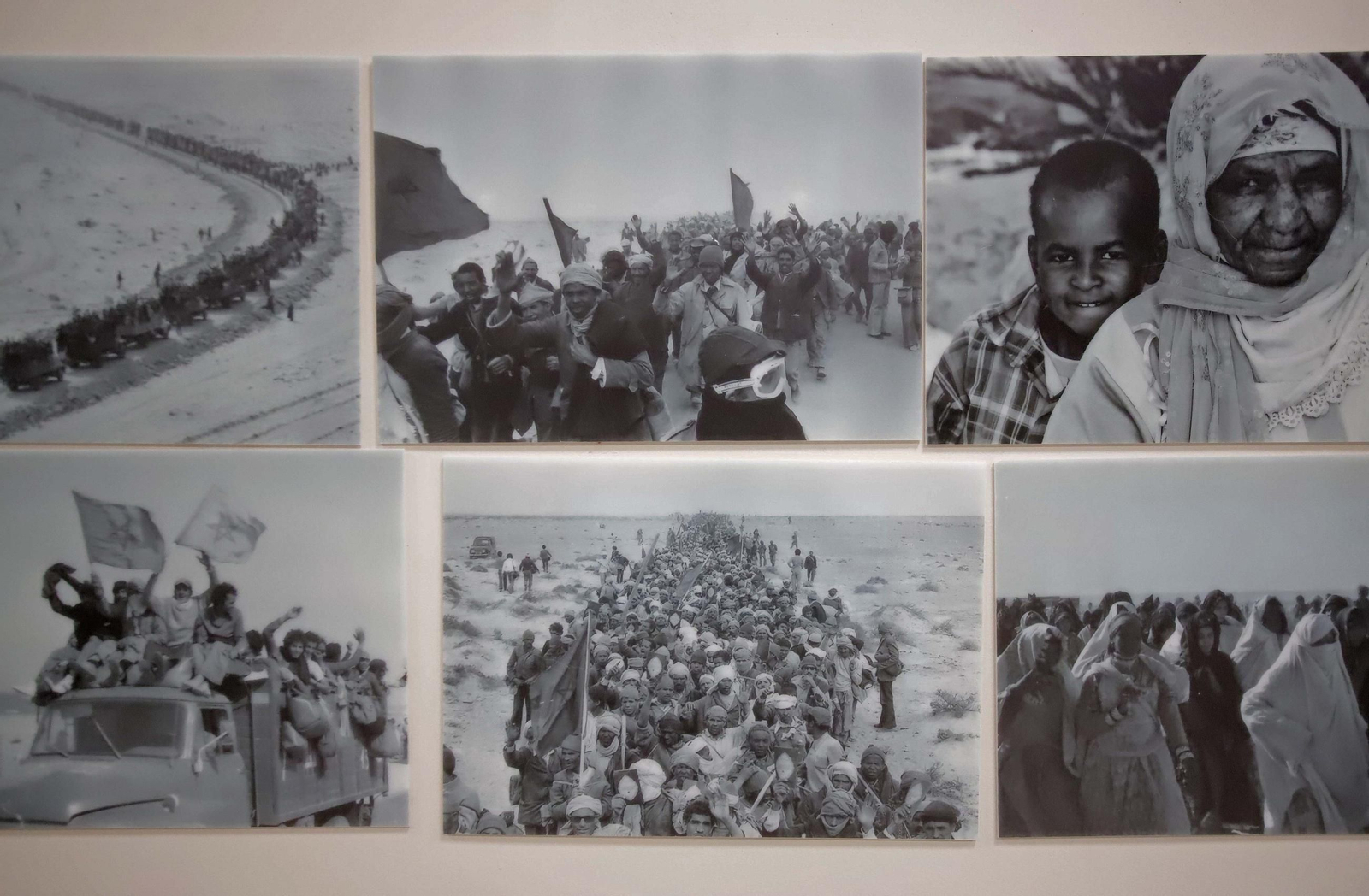Fotos de la celebración del 50º aniversario de la Marcha Verde en el Consulado General del Reino de Marruecos en Algeciras