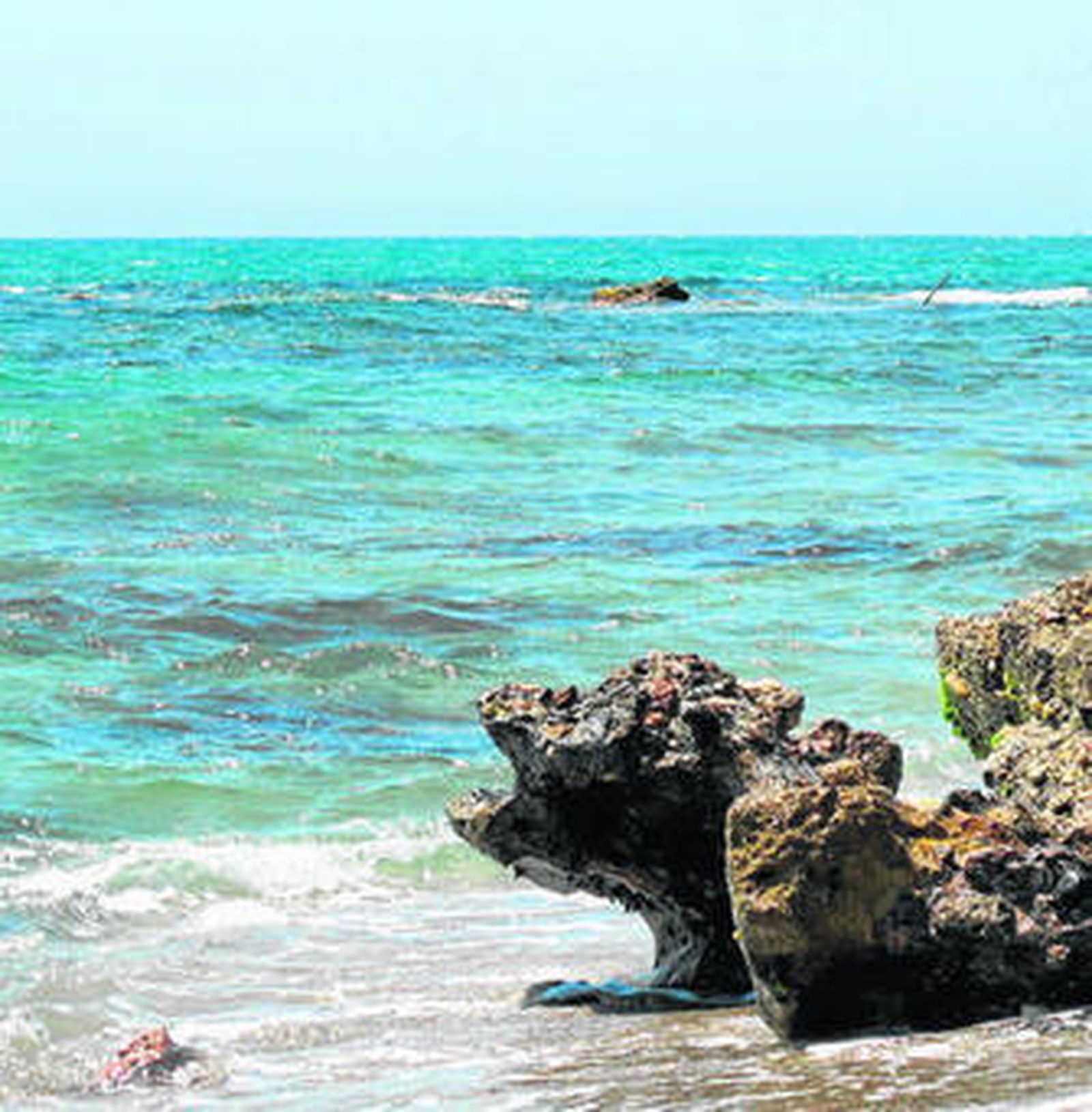 Las manchas se pueden observar a escasos metros de la orilla.