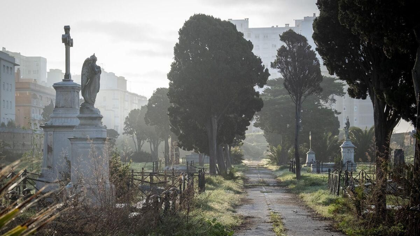 Antiguo cementerio de Cádiz