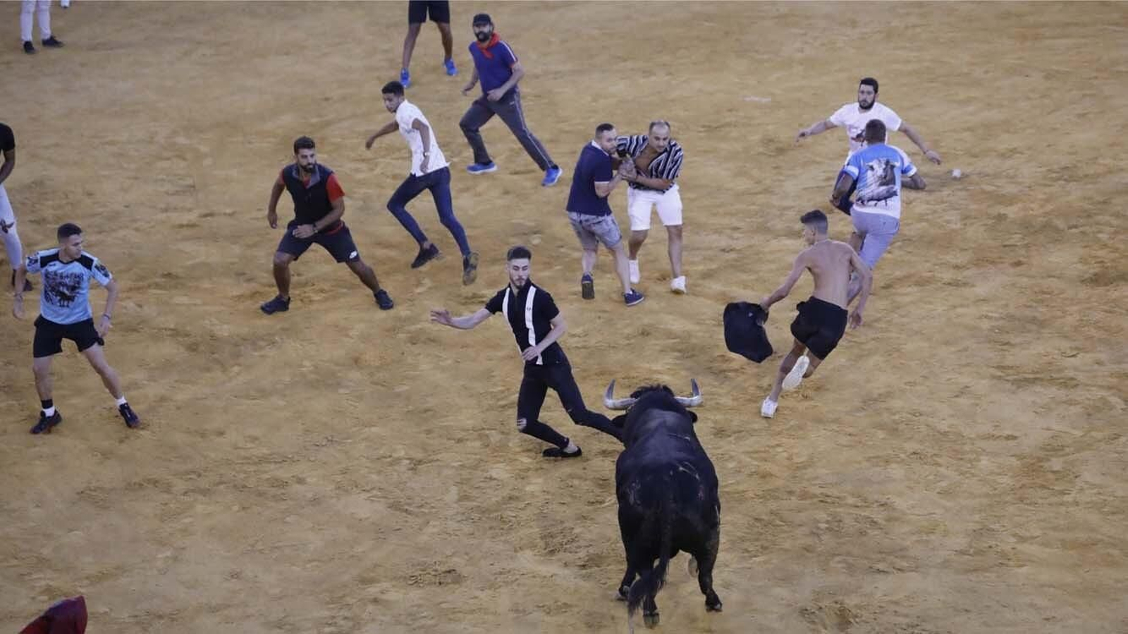 Las fotos del Toro del Aguardiente de San Roque
