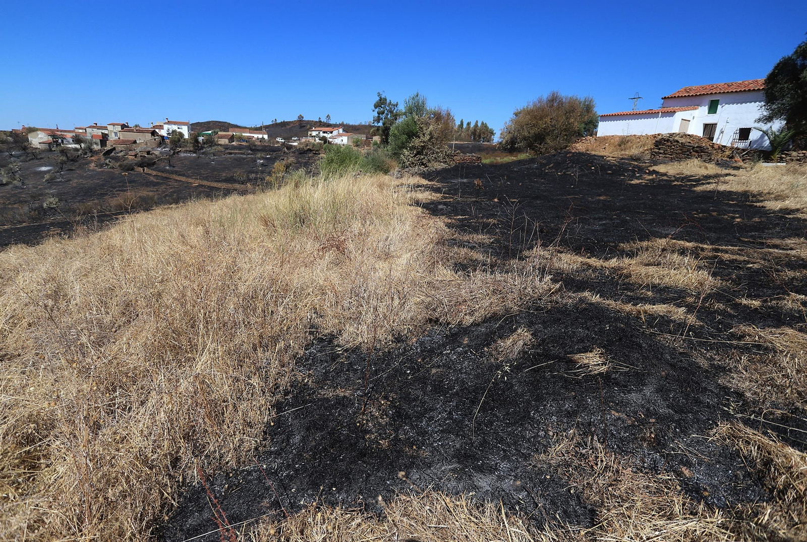 Imágenes de las zonas devastadas por el incendio de Almonaster la Real
