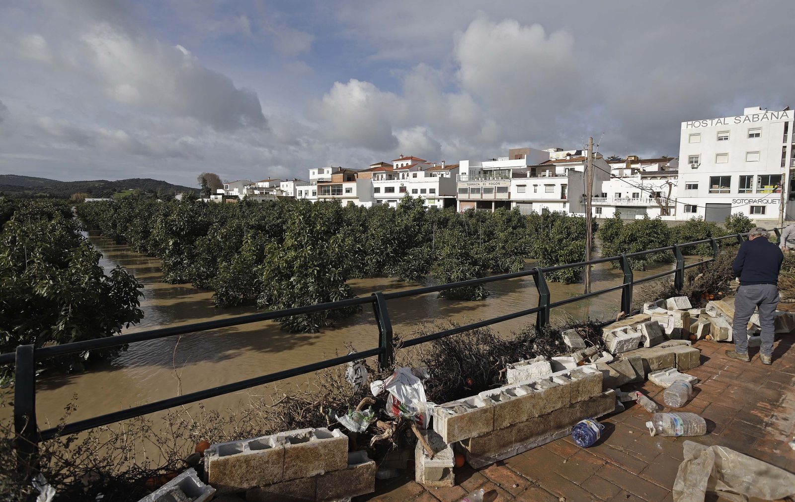 San Martín del Tesorillo después de la borrasca Marta, en imágenes