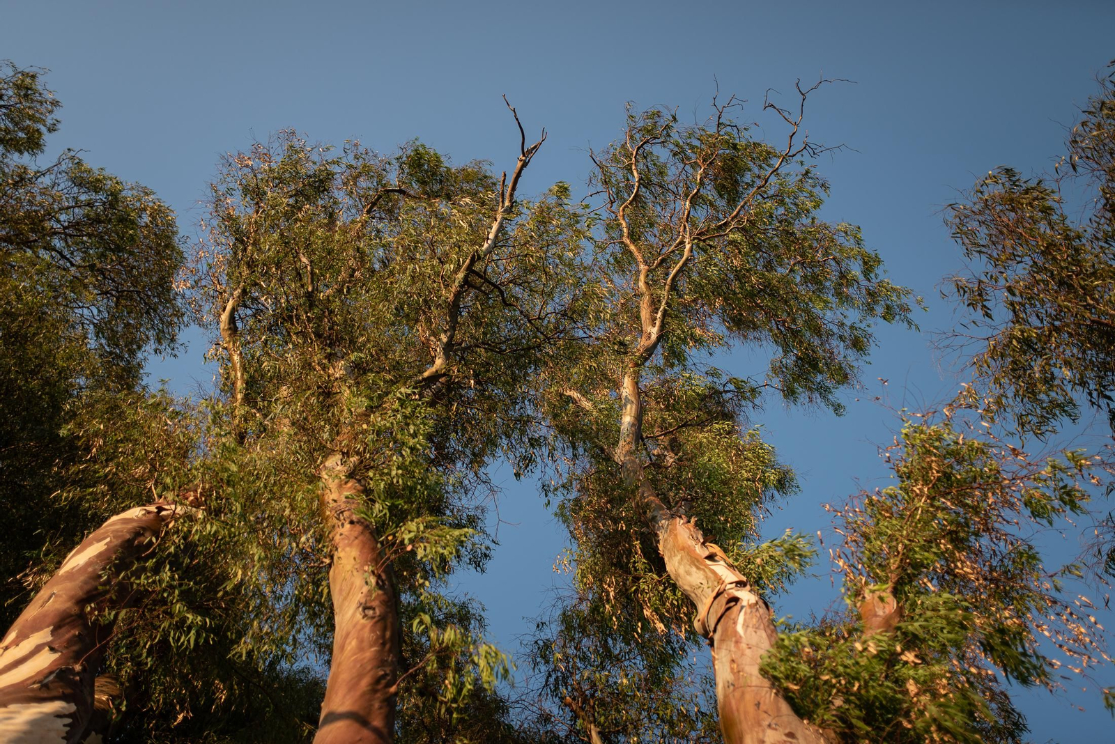 Imágenes del domingo 25 en Huelva