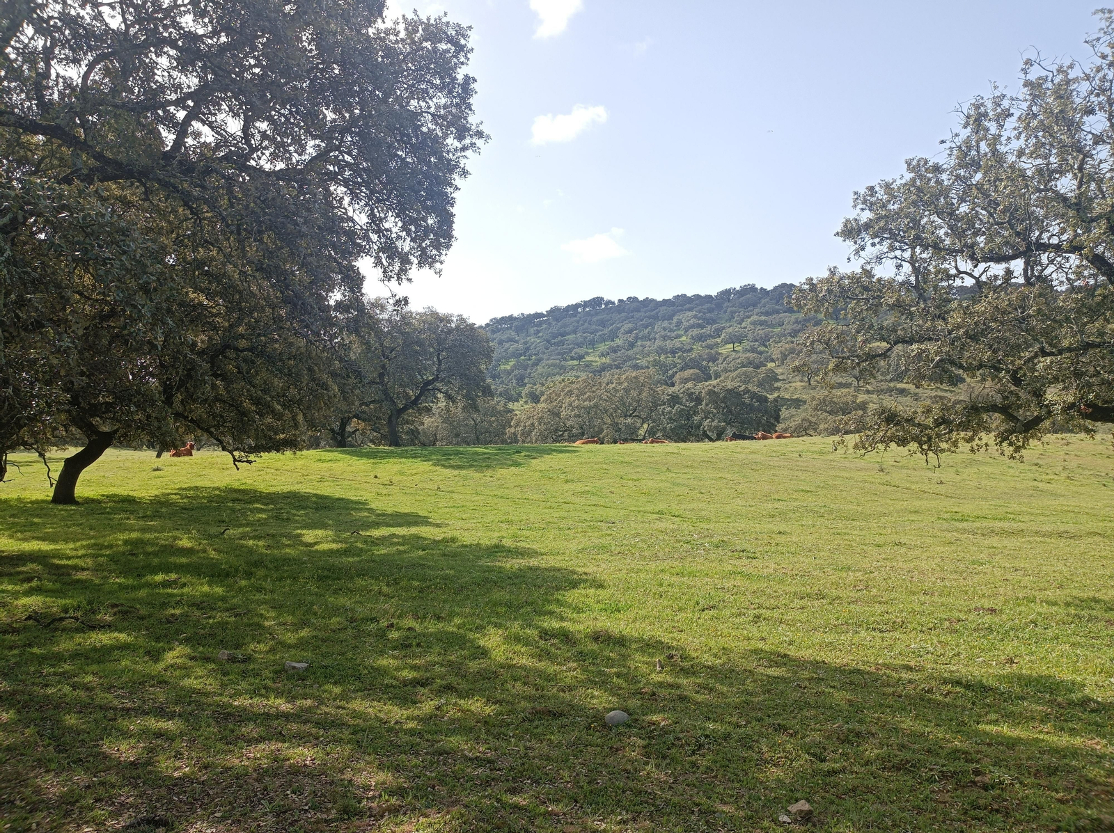 Fotos de la georruta de La Lobera