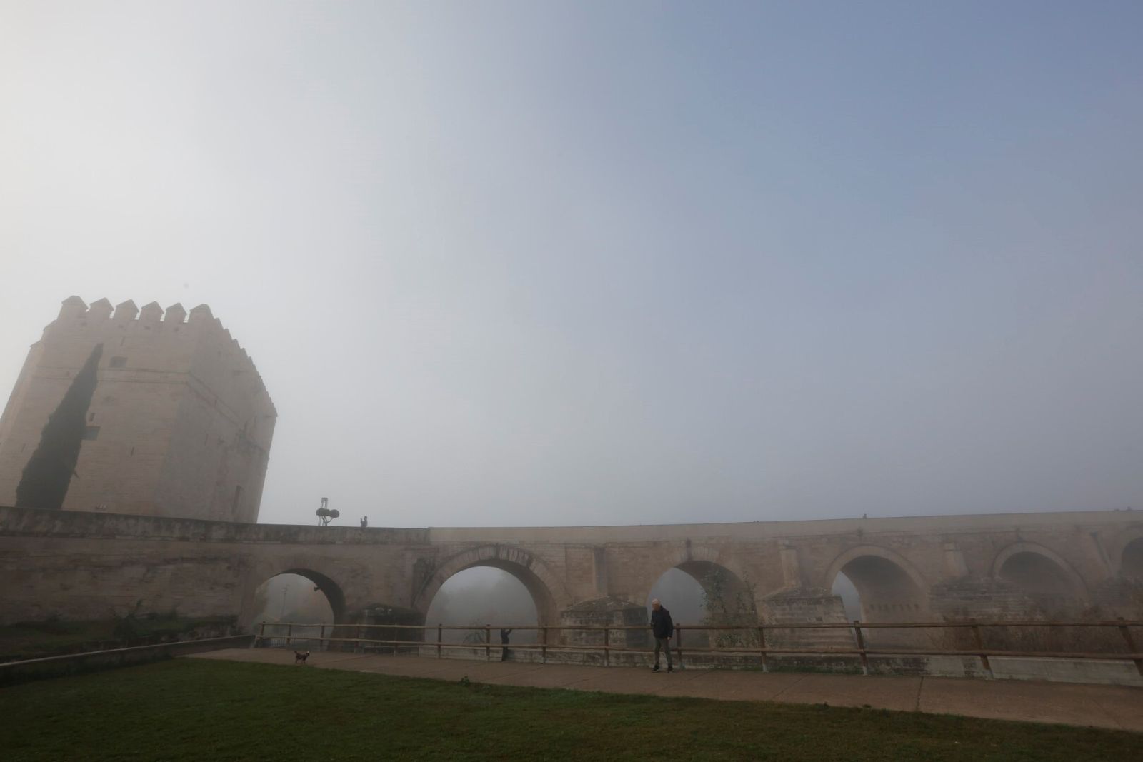 Córdoba comienza la semana cubierta de niebla, en imágenes