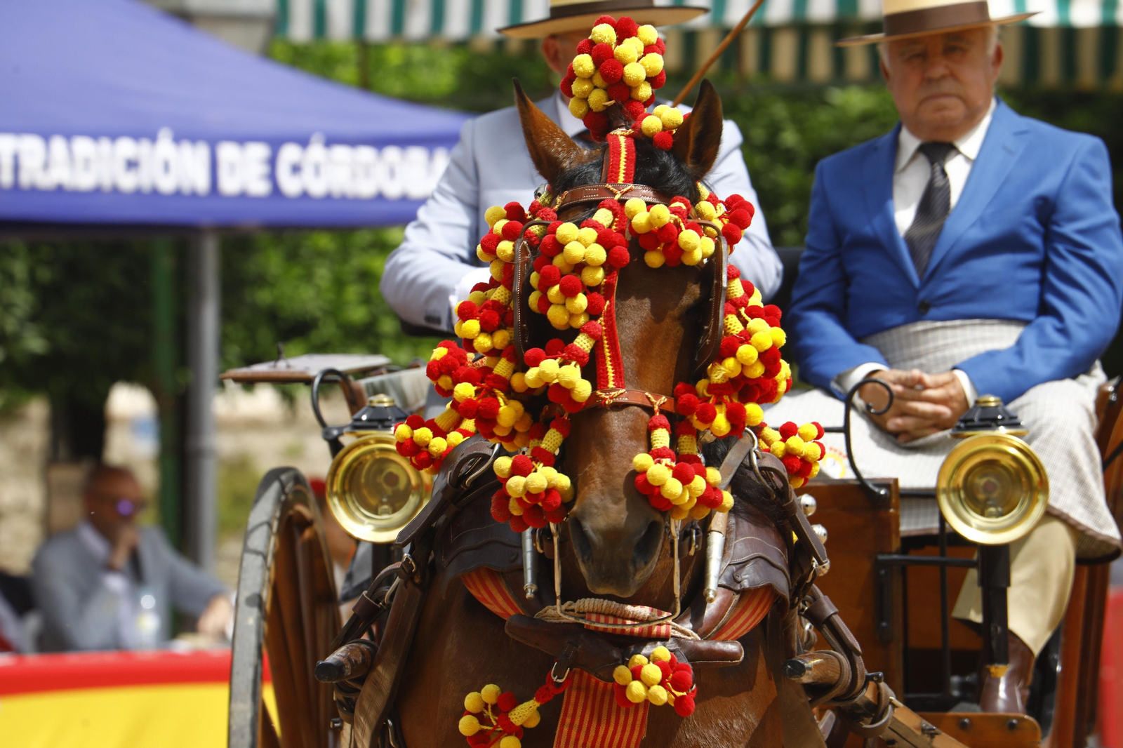 La Exhibición de Carruajes de Tradición de la Feria de Córdoba, en imágenes