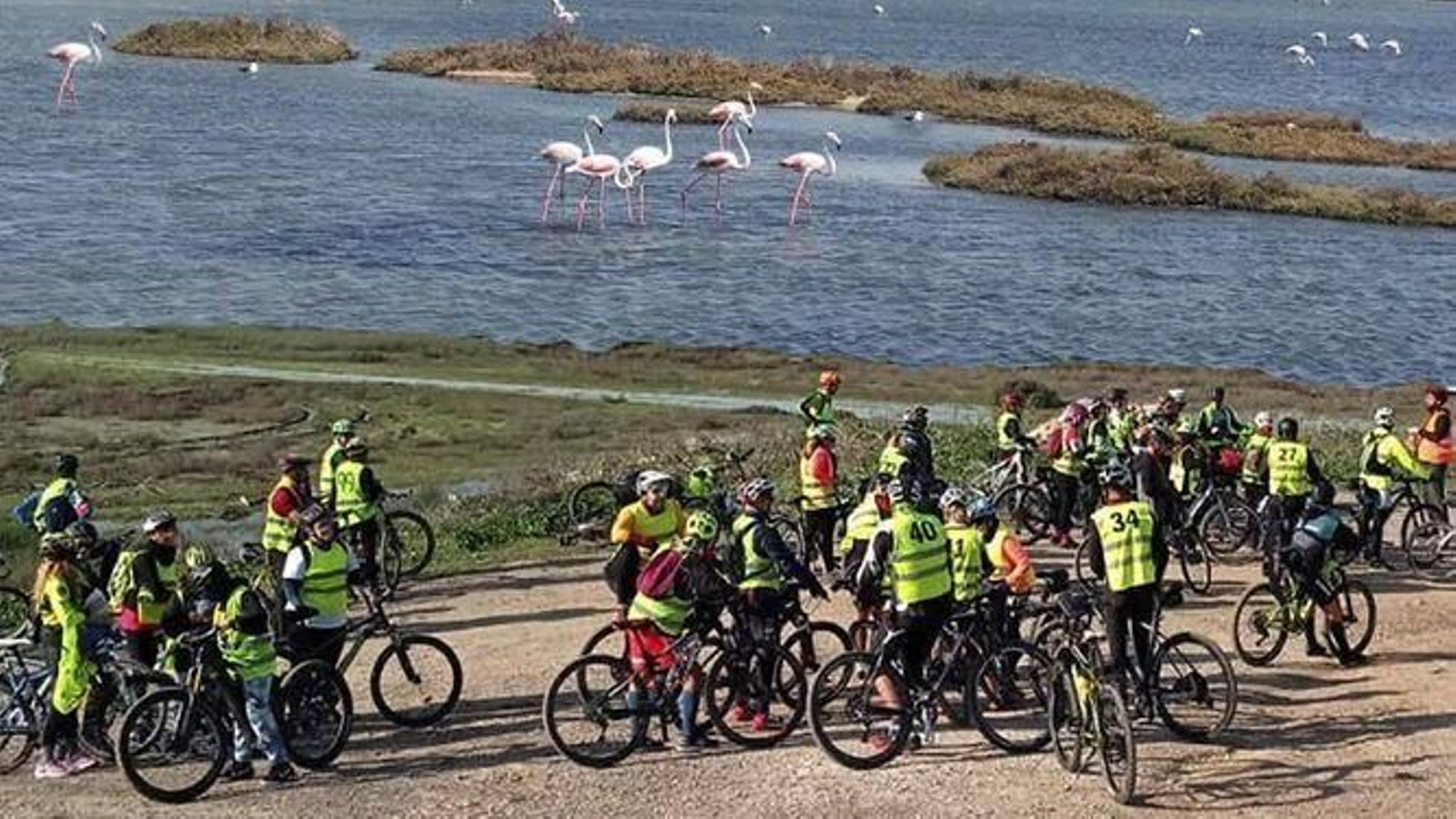 La ruta guiada en bicicleta llevará a los participantes hasta Salina de Cetina y Dehesa de las Yegua . La ruta guiada en bicicleta llevará a los participantes hasta Salina de Cetina y Dehesa de las Yegua .