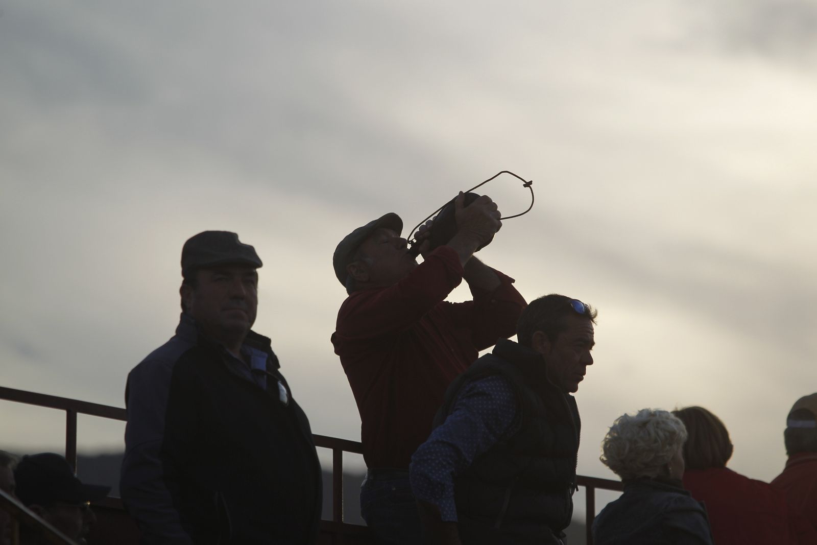 Fotogalería Festival Taurino Mixto. Fiestas de Abrucena.