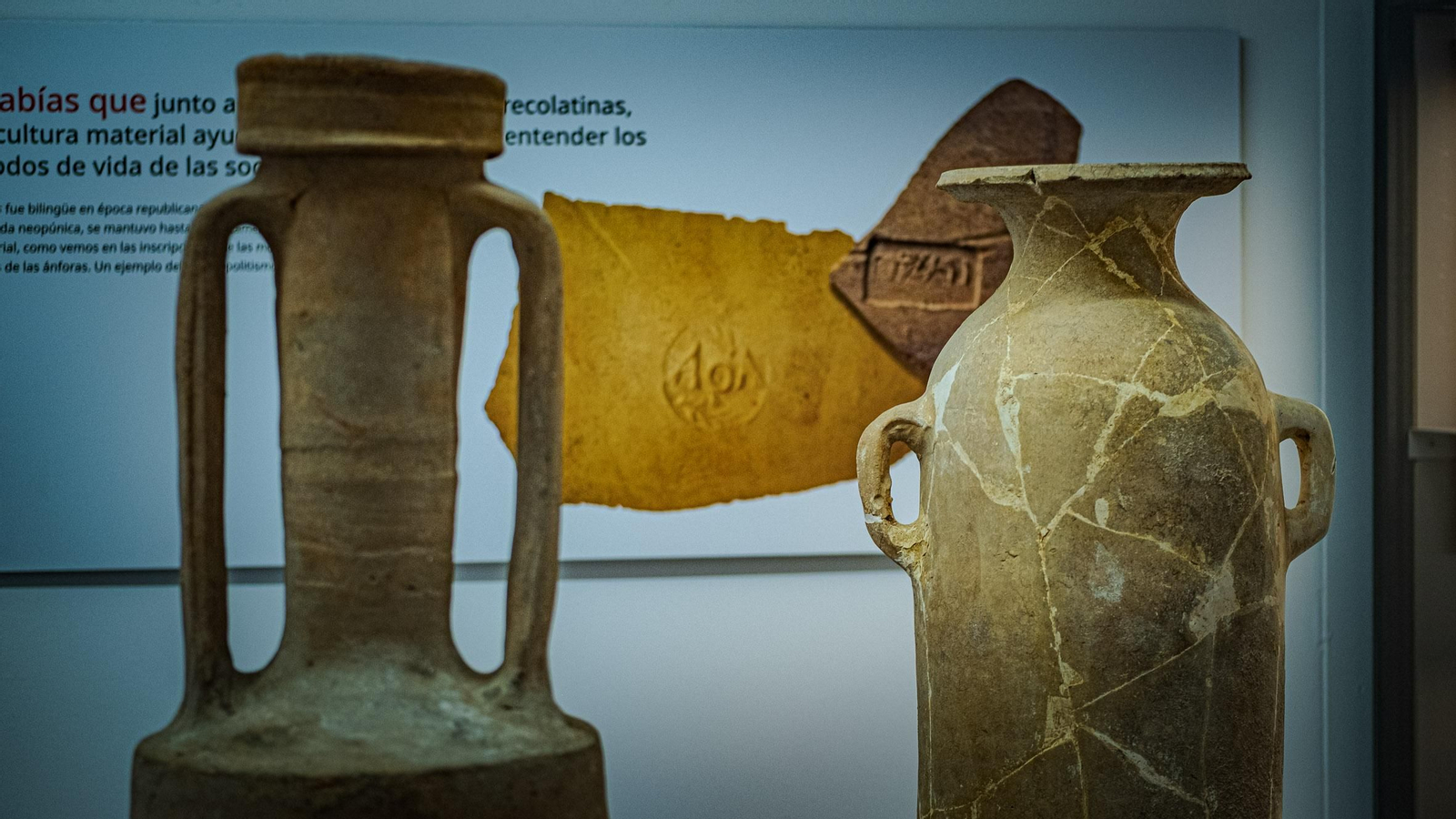 Las imágenes de la exposición VRBS IVLIA GADITANA en la Casa Pinillos del Museo de Cádiz