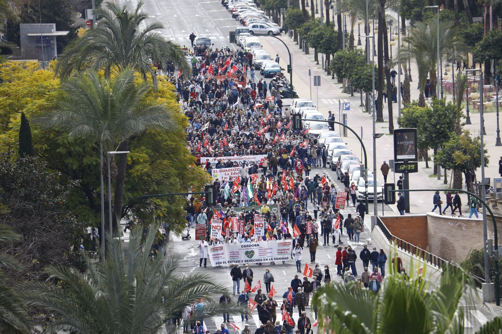 Manifestación en defensa de la sanidad pública en Córdoba, en imágenes