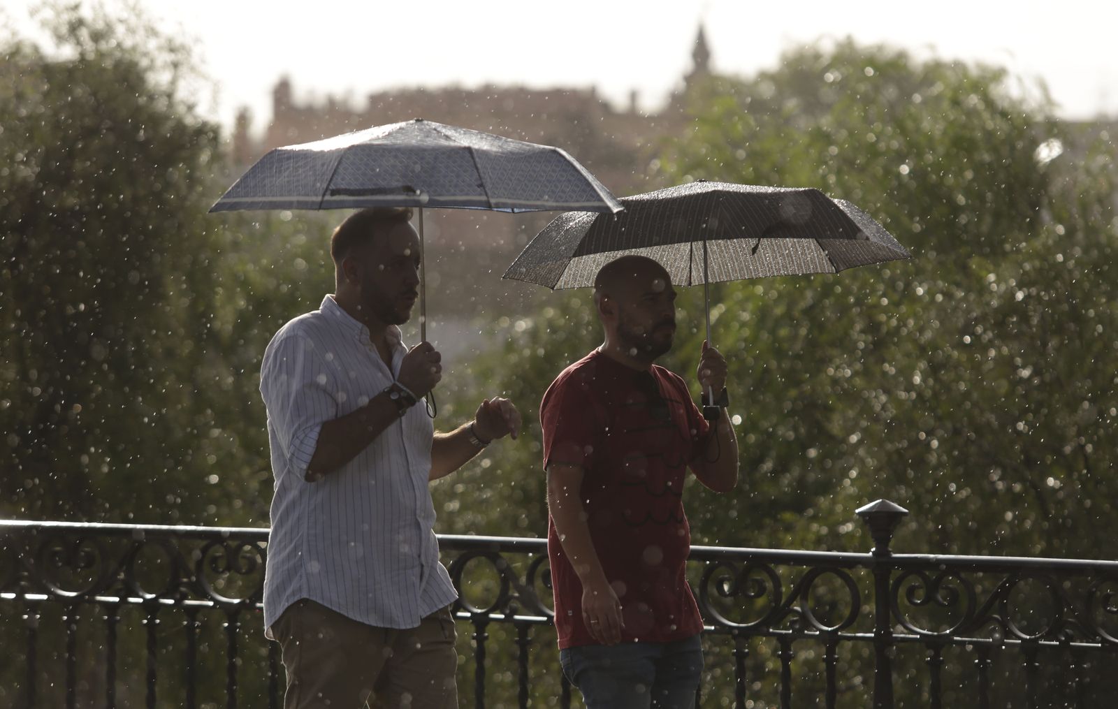 Las imágenes de la lluvia en Sevilla