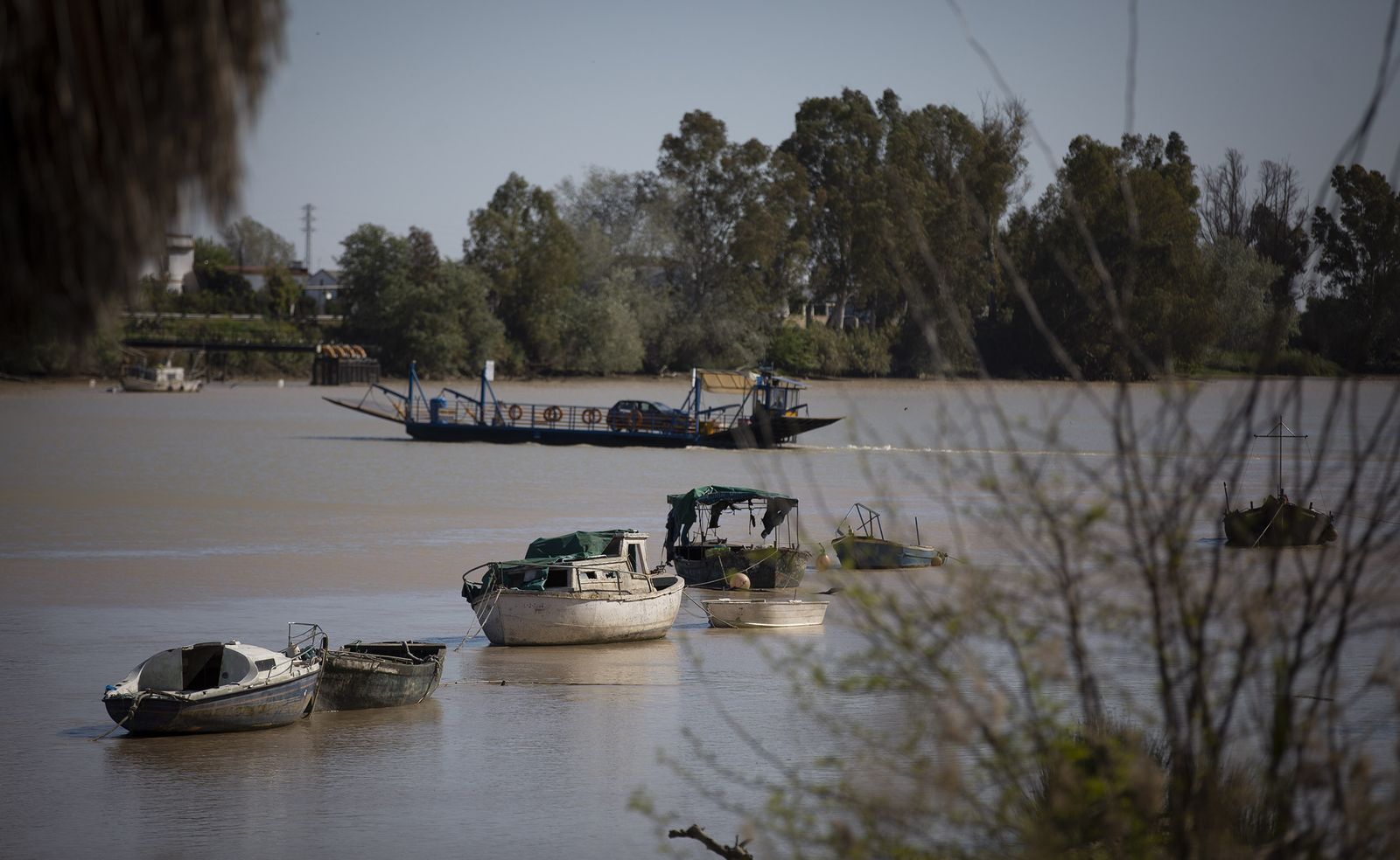El Guadalquivir a su paso por Coria