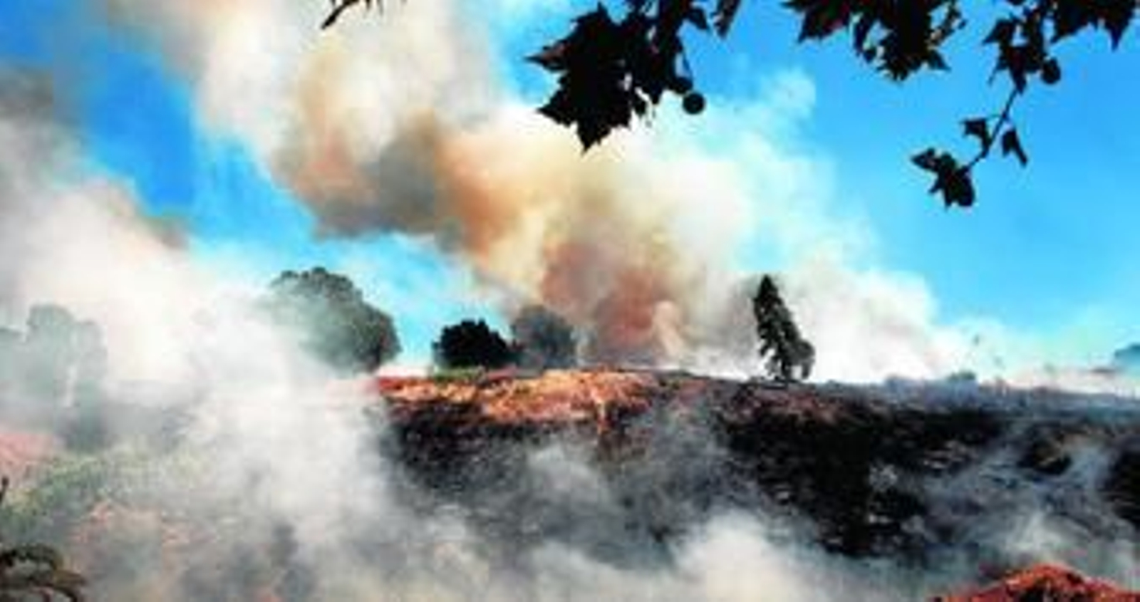 A primera hora de la tarde, con las temperaturas disparadas, volvió a arder el Conquero.