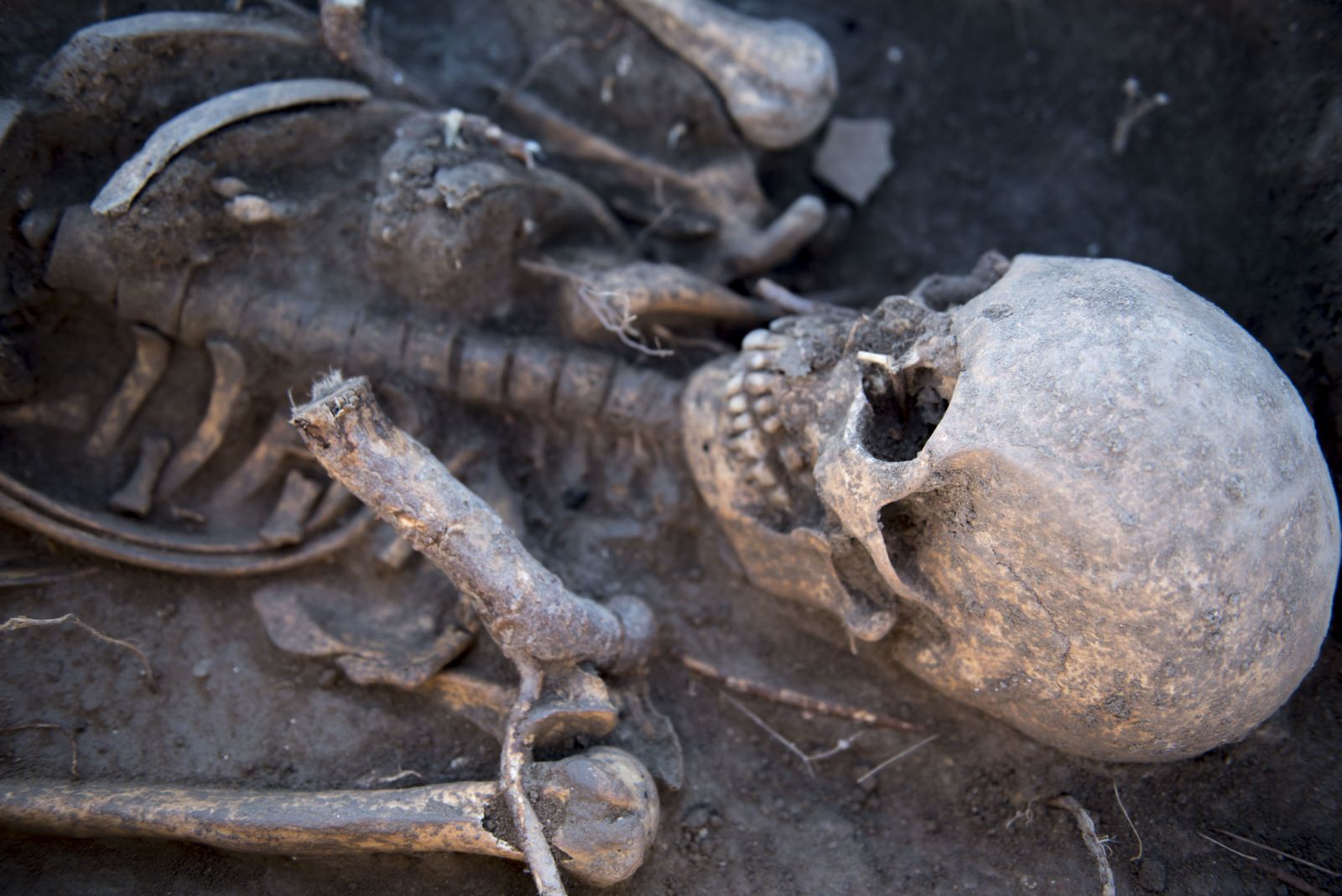 Nuevos hallazgos en Los Mondragones