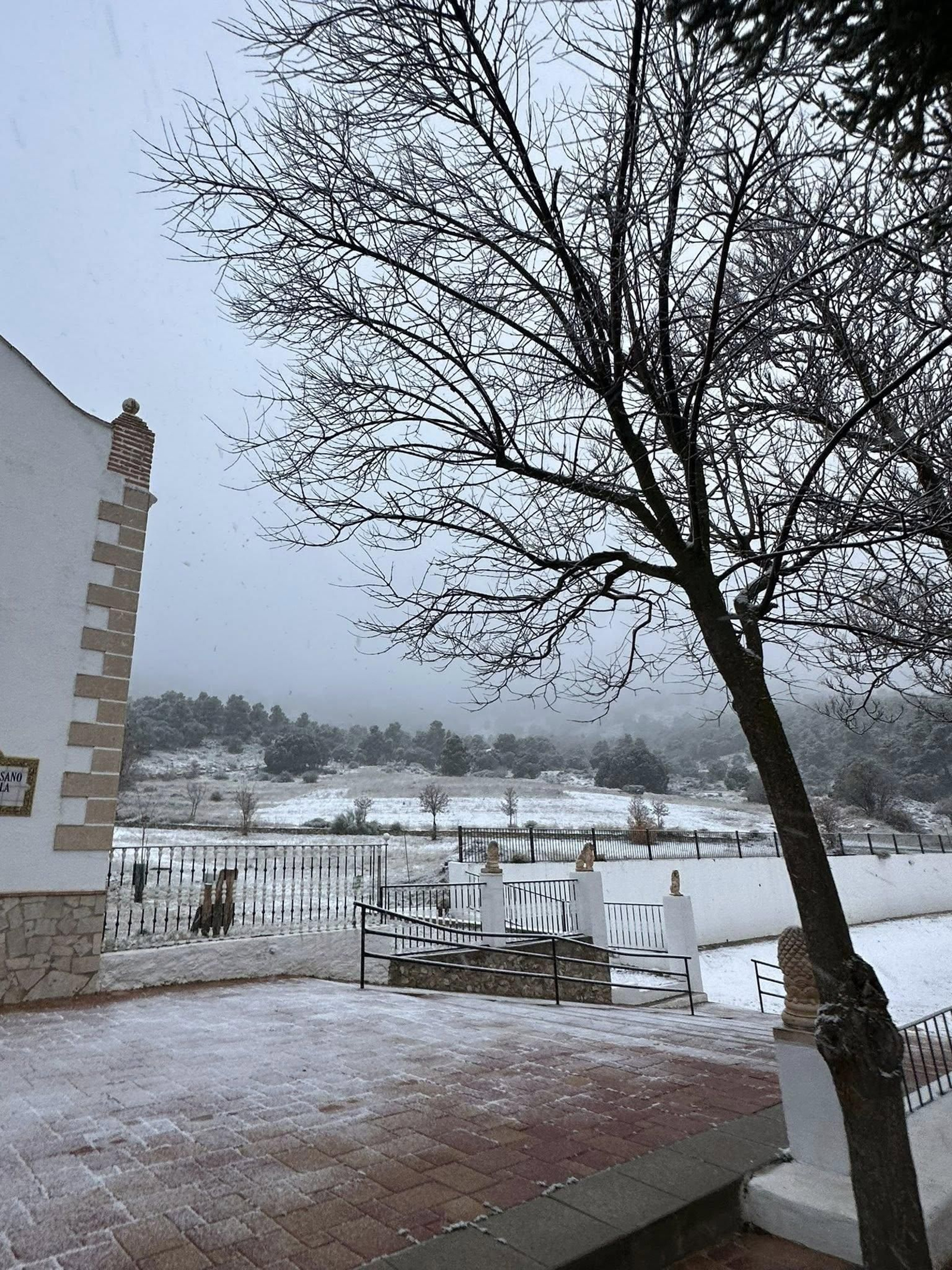 Más imágenes de la nieve.