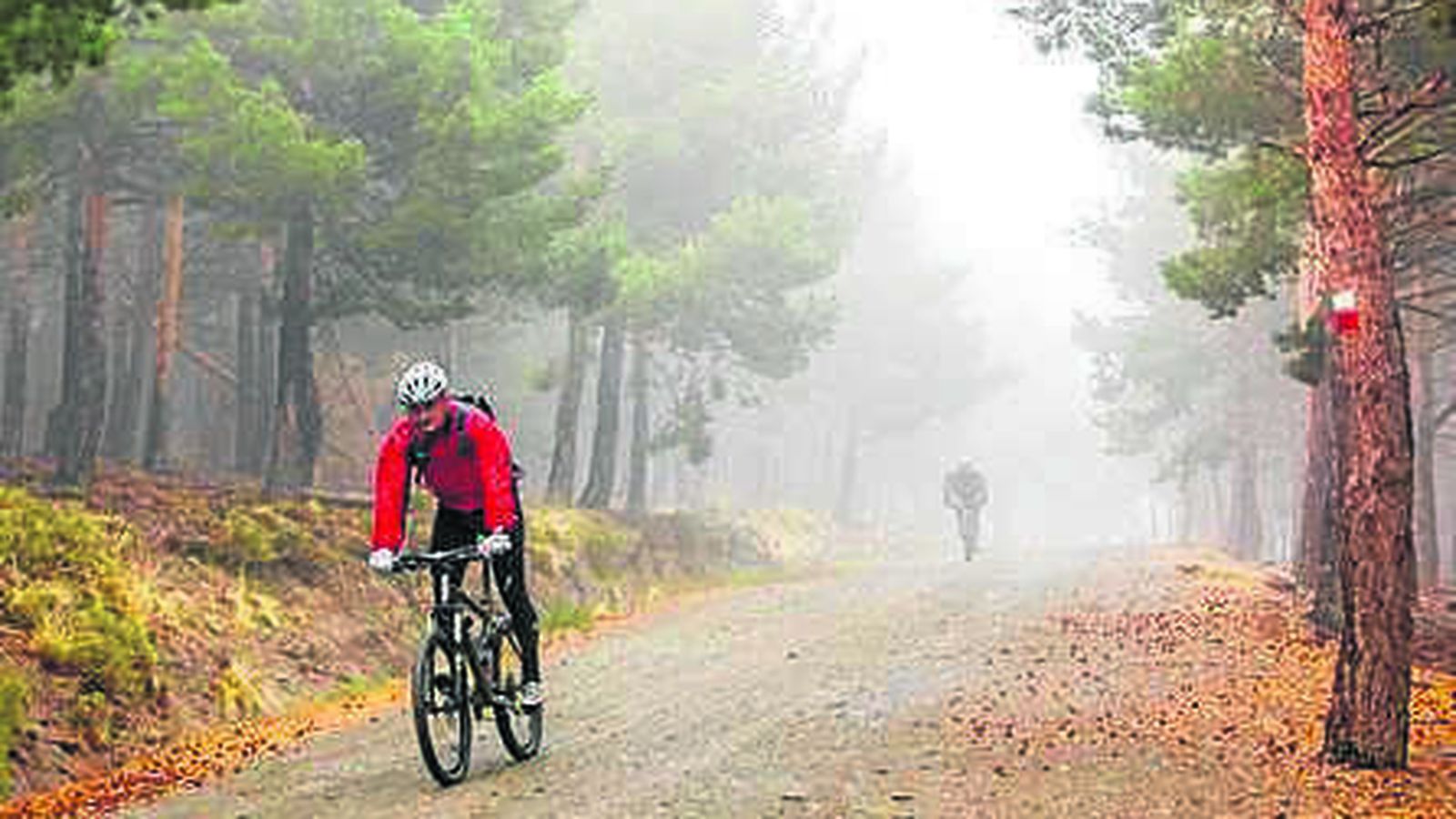 Ciclistas en el Parque Natural de Sierra Nevada.