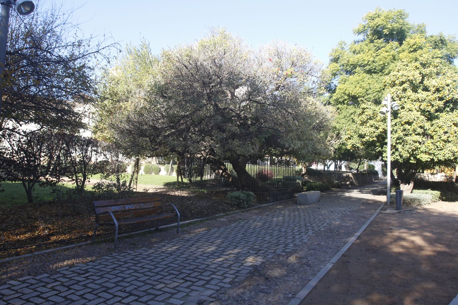 El otoño en Córdoba, en fotografías