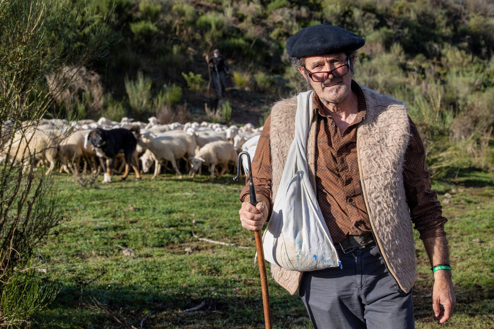Un pastor durante la Fiesta de la Trashumancia