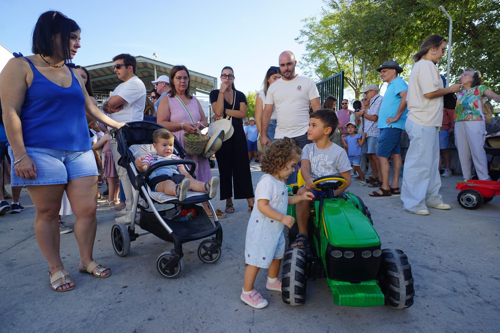 Vendimia infantil de Montilla