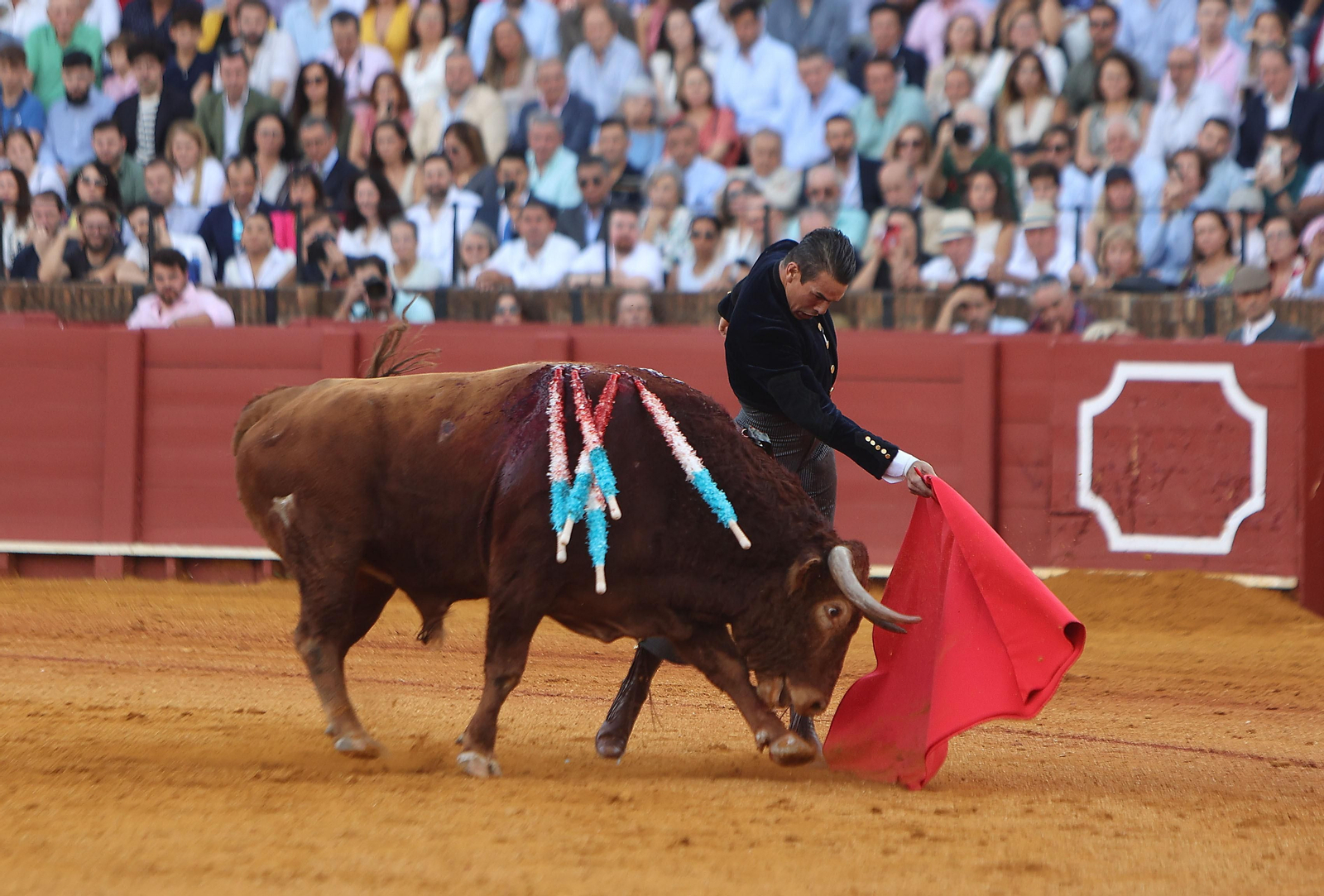 Fotos del Festival taurino a beneficio de l de la Hermandad del Rocío de Triana y de la Fundación Alalá