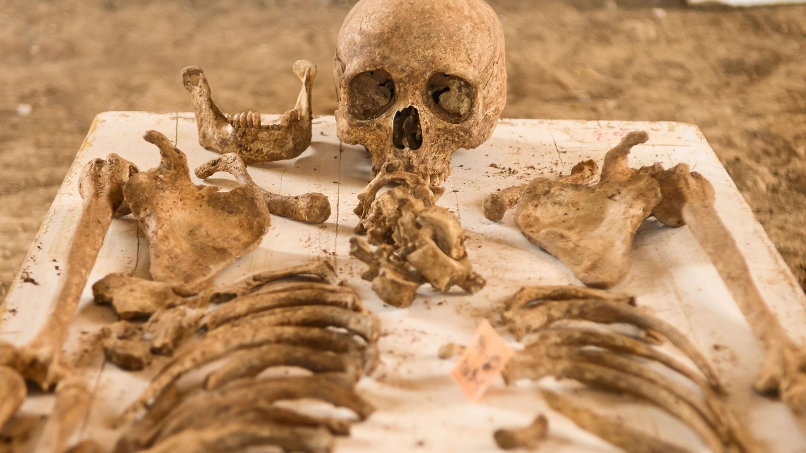 Restos humanos hallados en la fosa común.