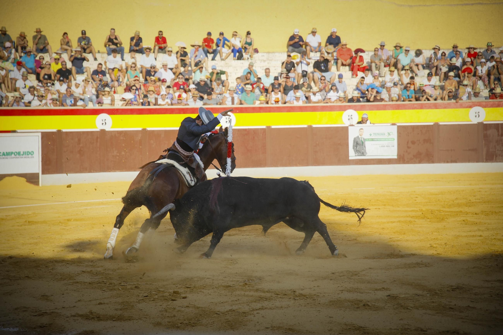 Corrida de toros Berja con un toro indultado, en imágenes