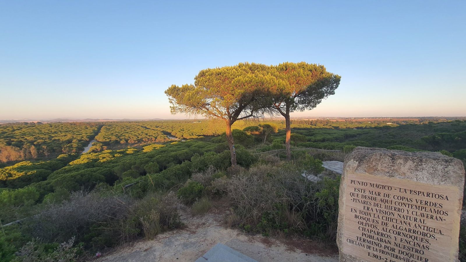La Espartosa, un punto mágico en el Pinar del Hierro.