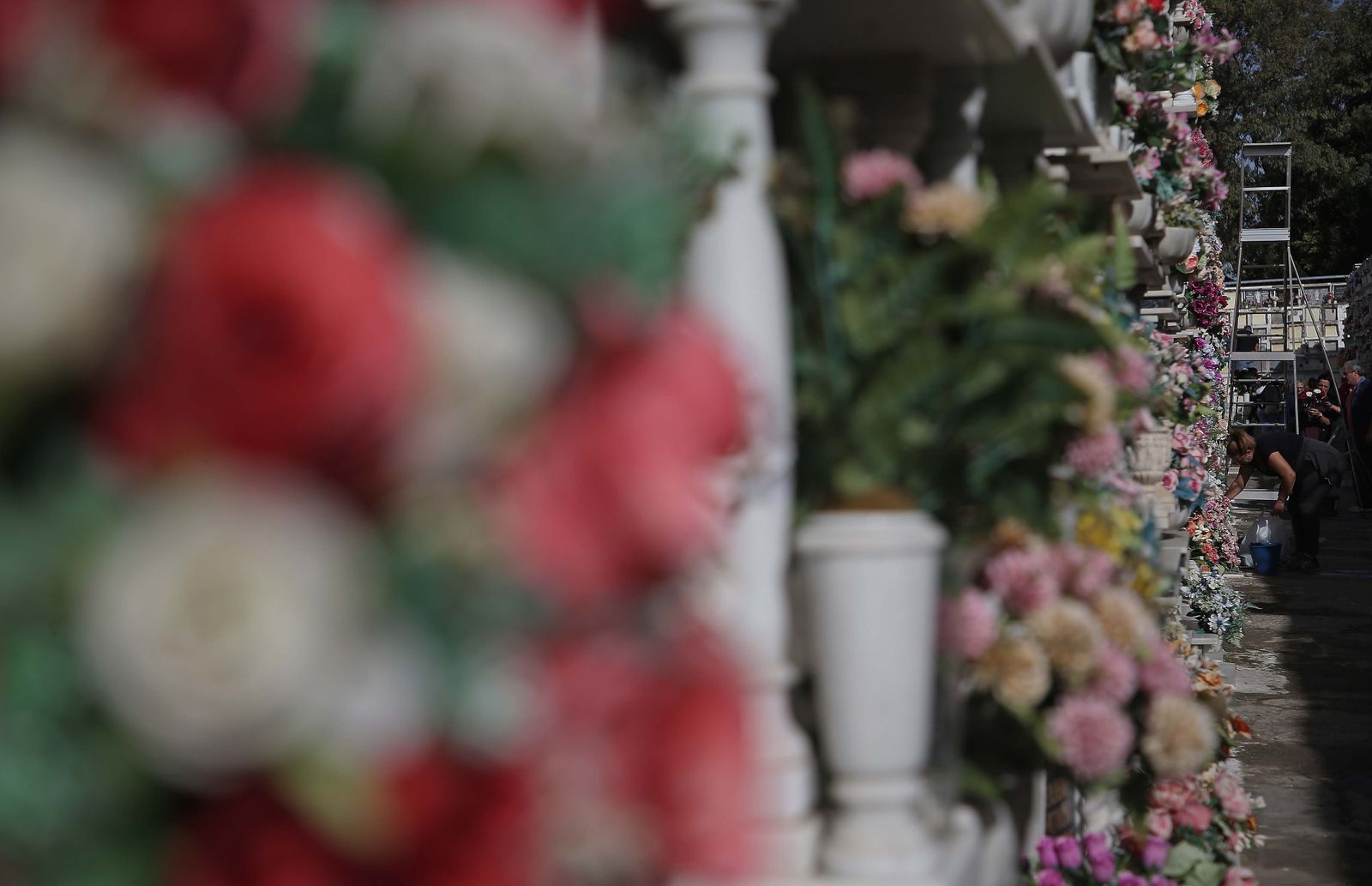 Fotos de los preparativos para los Tosantos en el cementerio de Algeciras