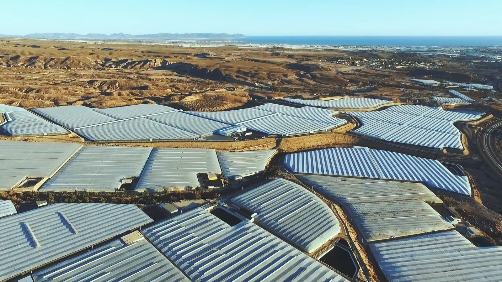 Vista aérea de la central y los cultivos bajo plástico de la empresa almeriense.