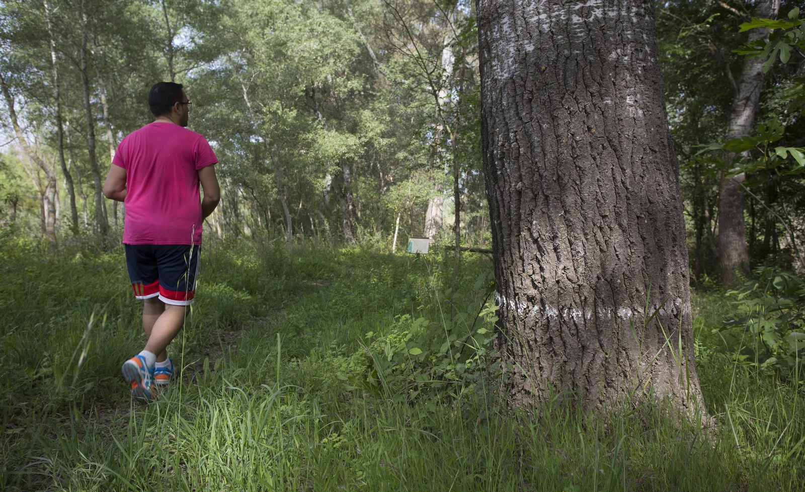 Así está Aznalcóllar 20 años después