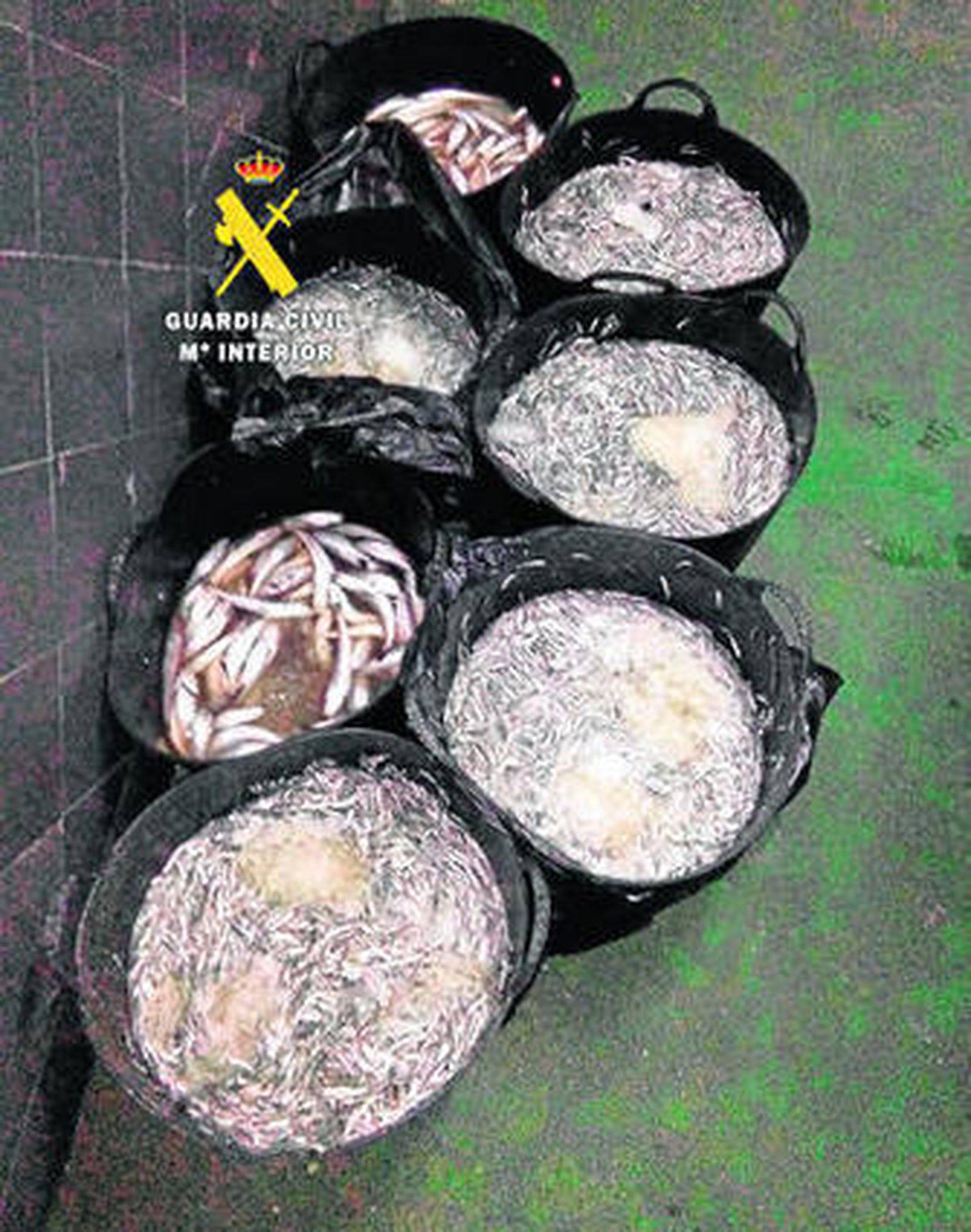 La pesca de inmaduros, un negocio demasiado suculento