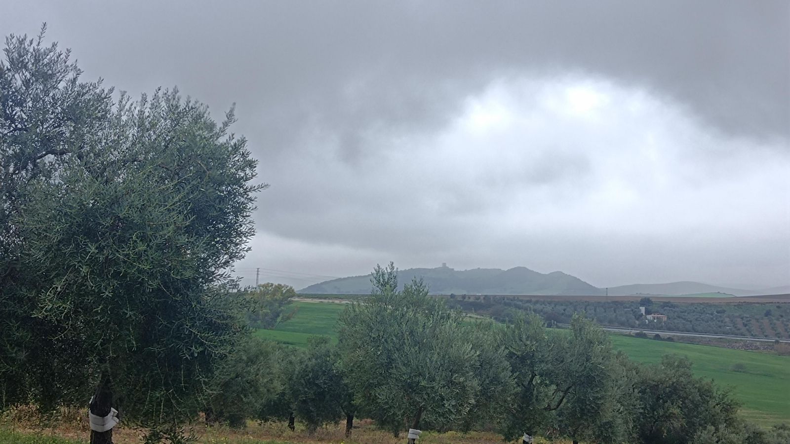 A lo lejos, el perfil de la Torre de Lopera.