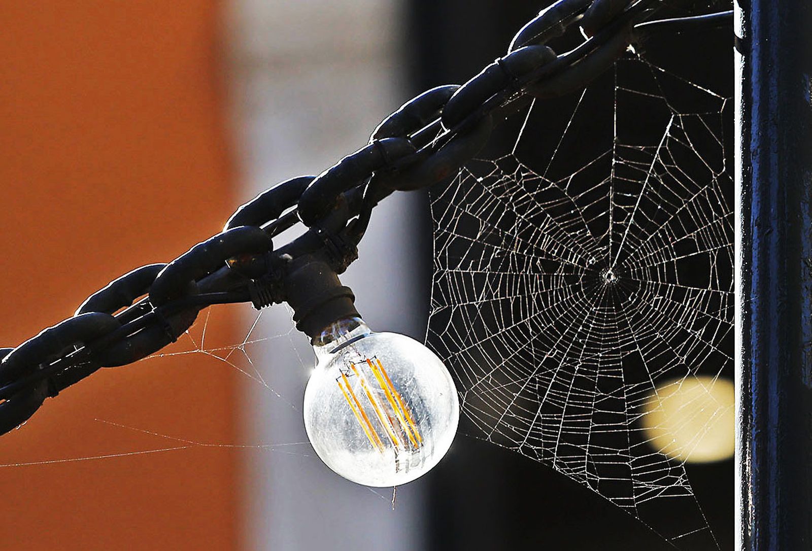 Las imágenes más destacadas del martes 7 de noviembre en Huelva