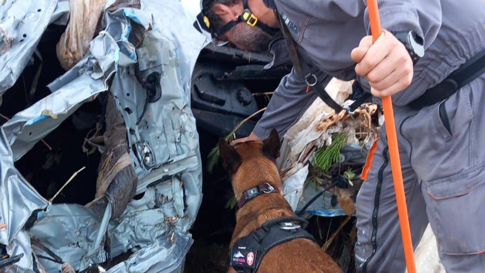 Un pistero de Sierra Nevada realiza labores de búsqueda junto a la perra de rescate Ari, en Valencia
