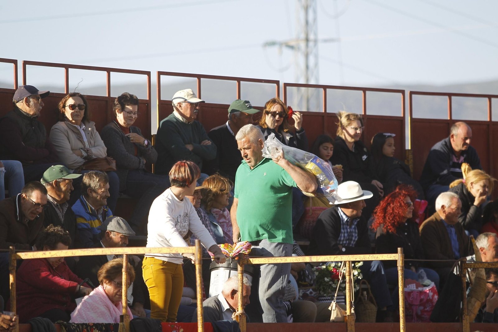 Fotogalería Novillada Fiestas de Abrucena