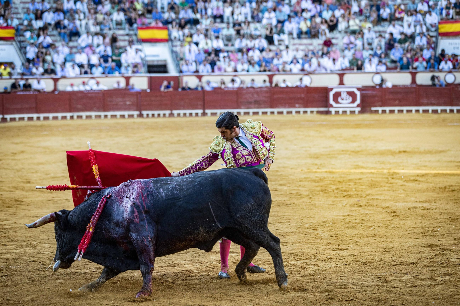 toros morente manzanares aguado puerto santa maria 46.jpg