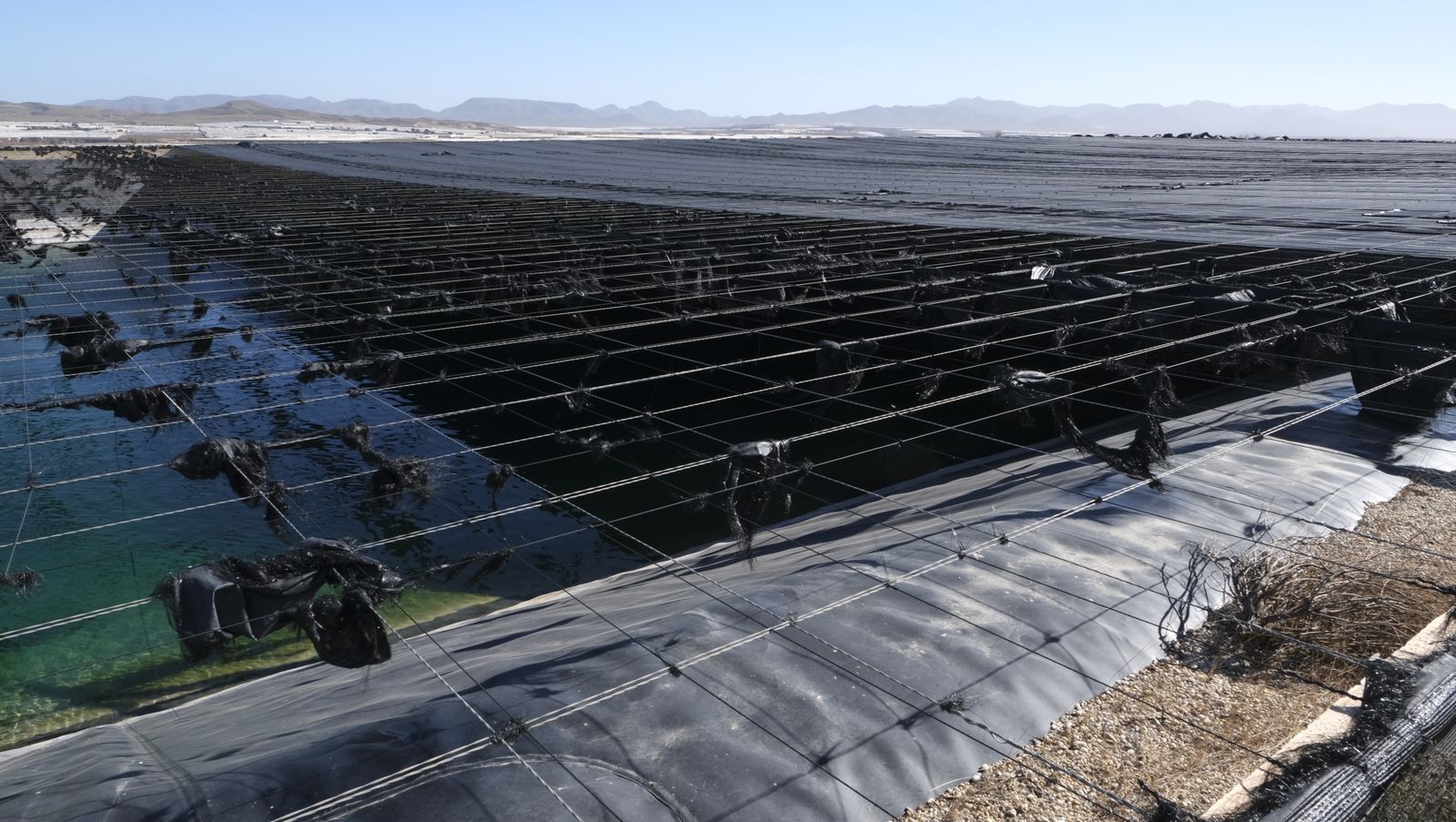 Visita a la desaladora Mar de Alborán.