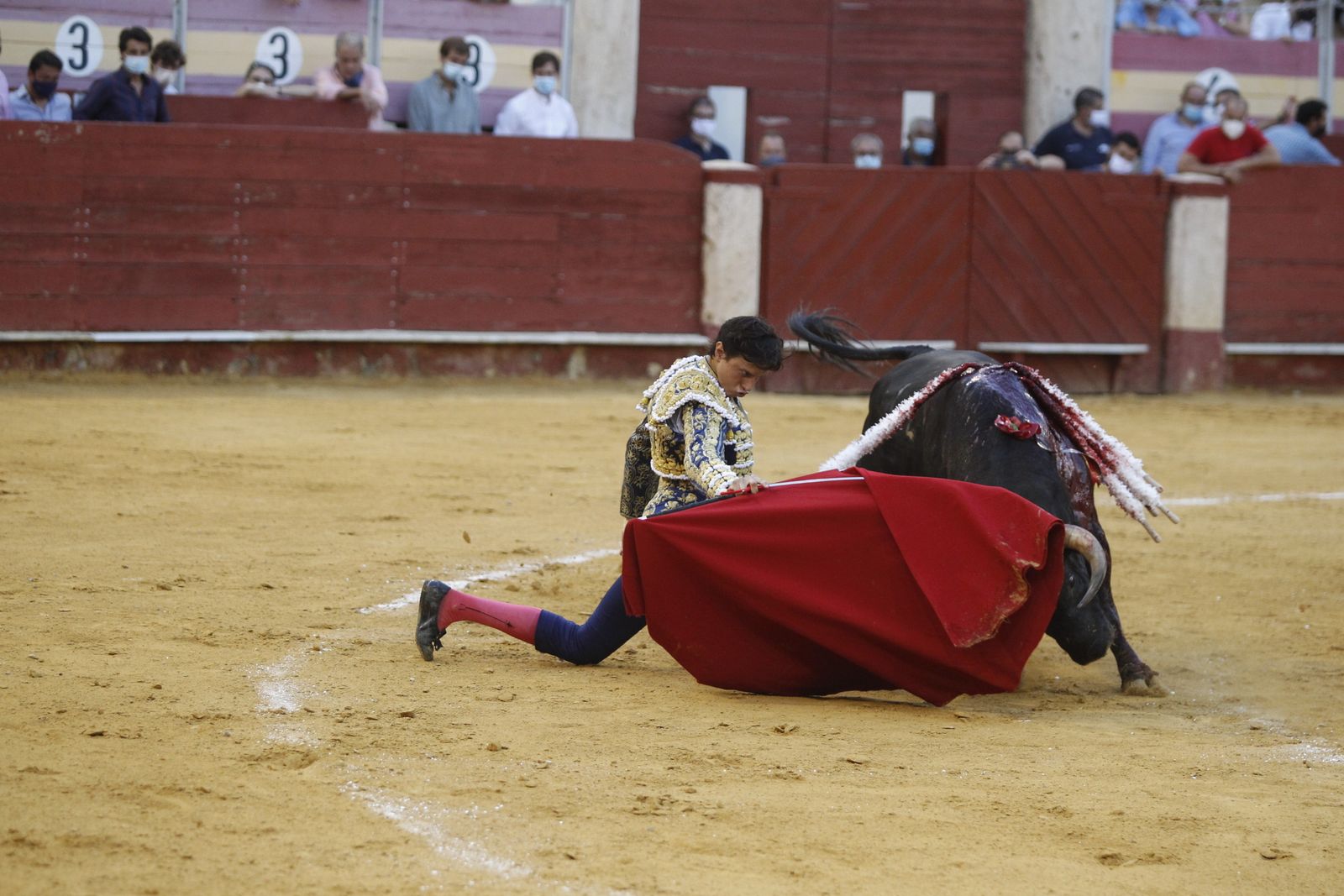 Fotogalería segunda corrida de toros Feria de Almeria 2021