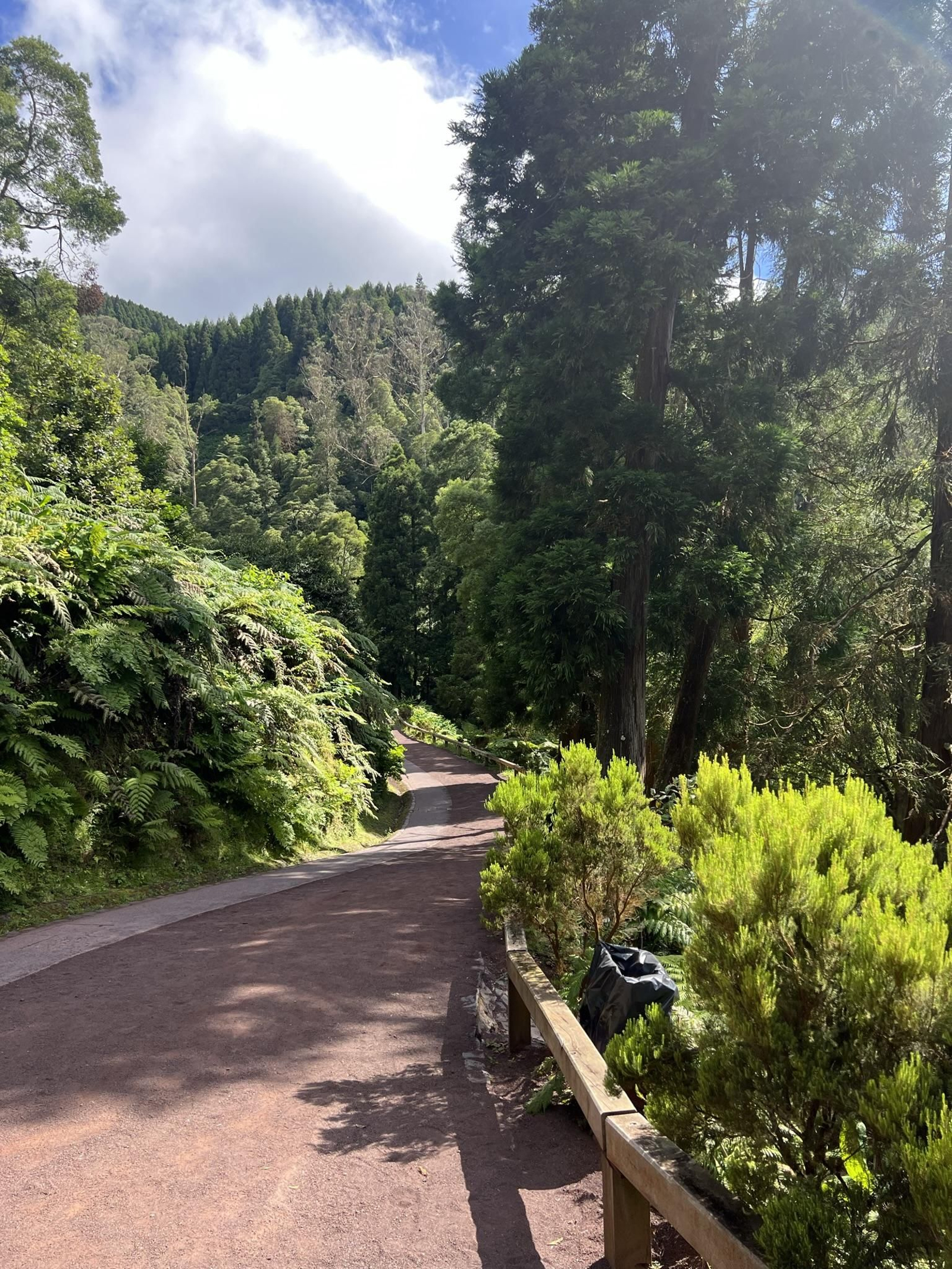 Reserva Natural Caldeira Velha