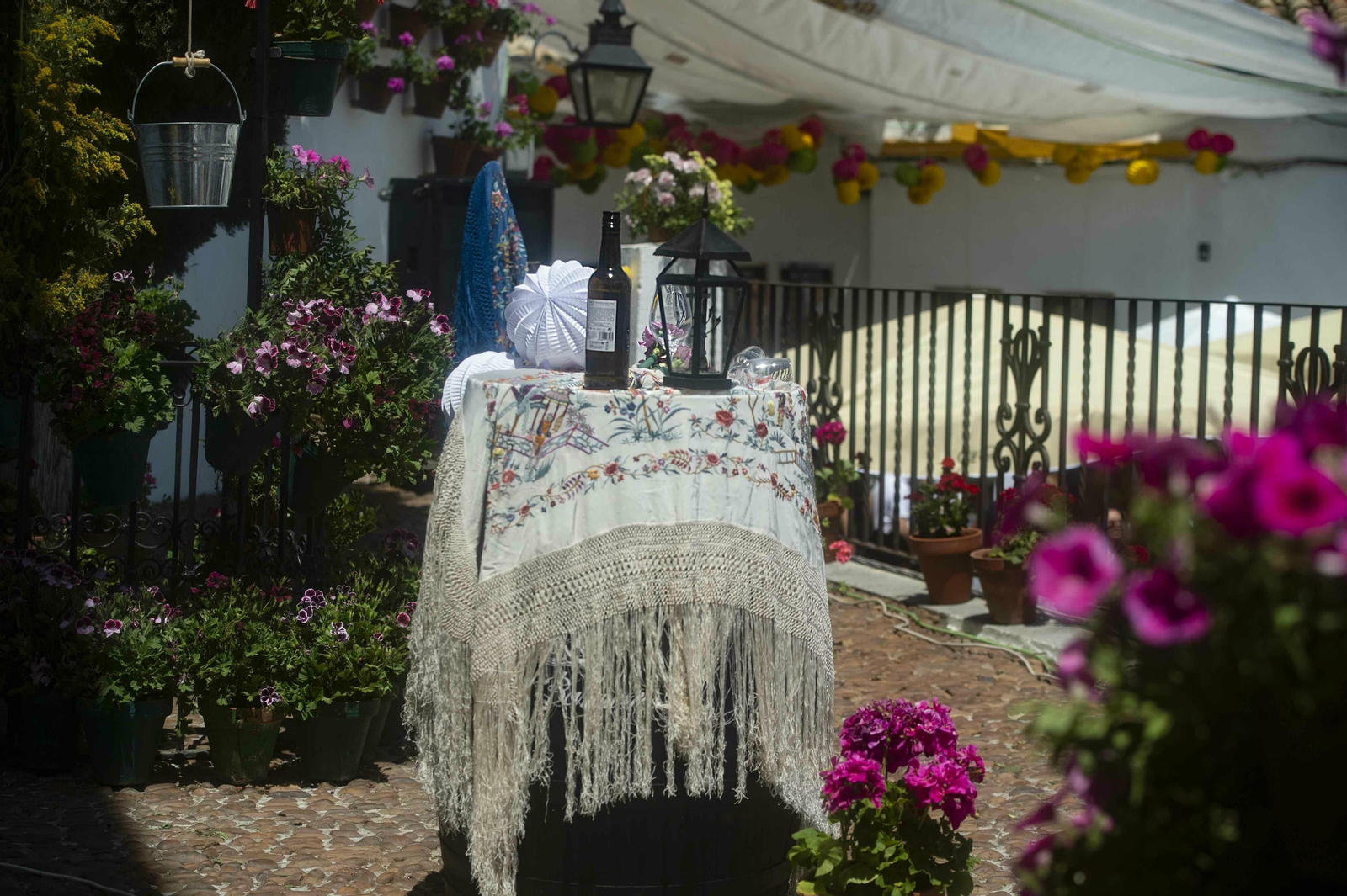 Las Cruces de Mayo de Córdoba, en imágenes